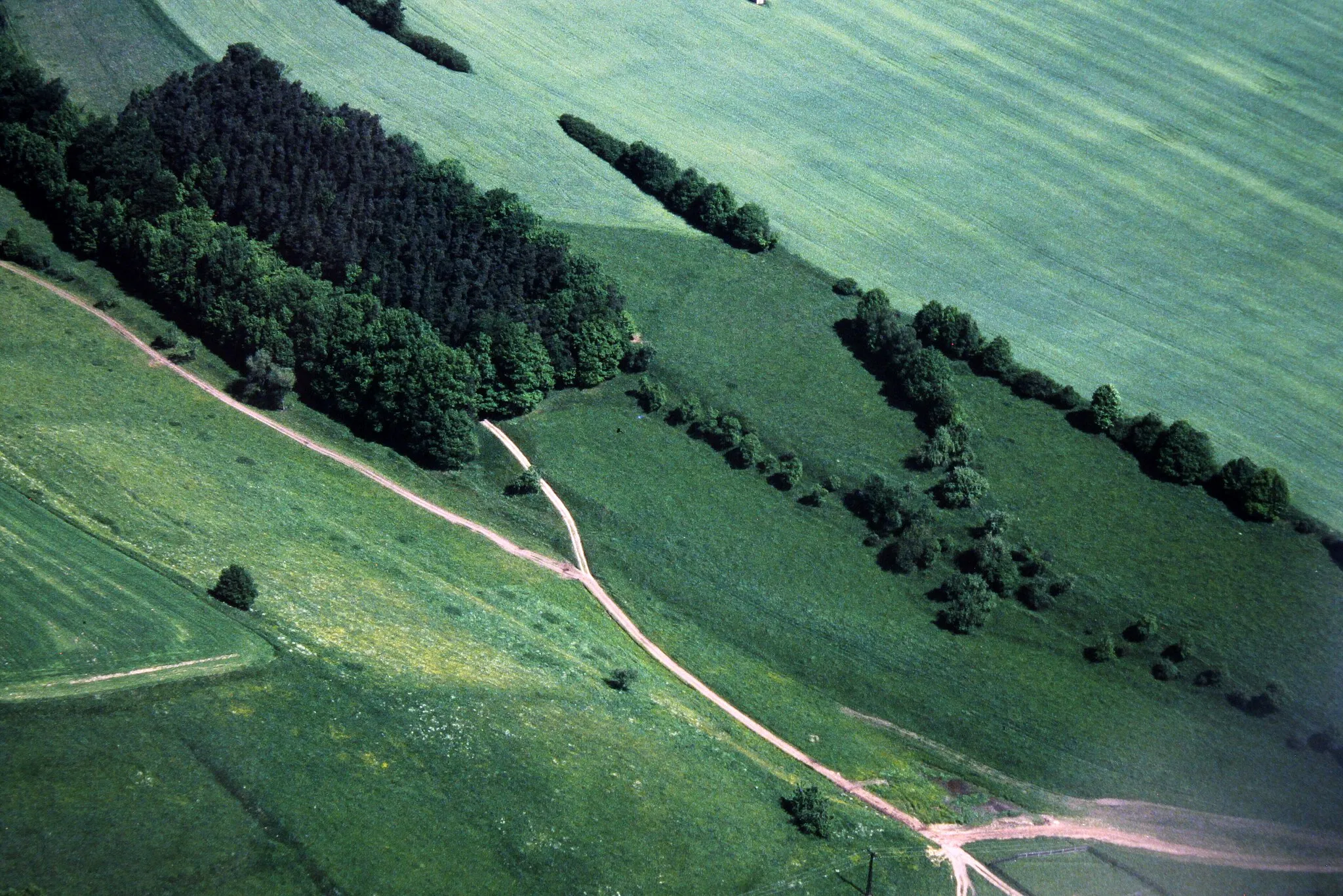 Photo showing: nordwestlich von Bremsnitz, 1997