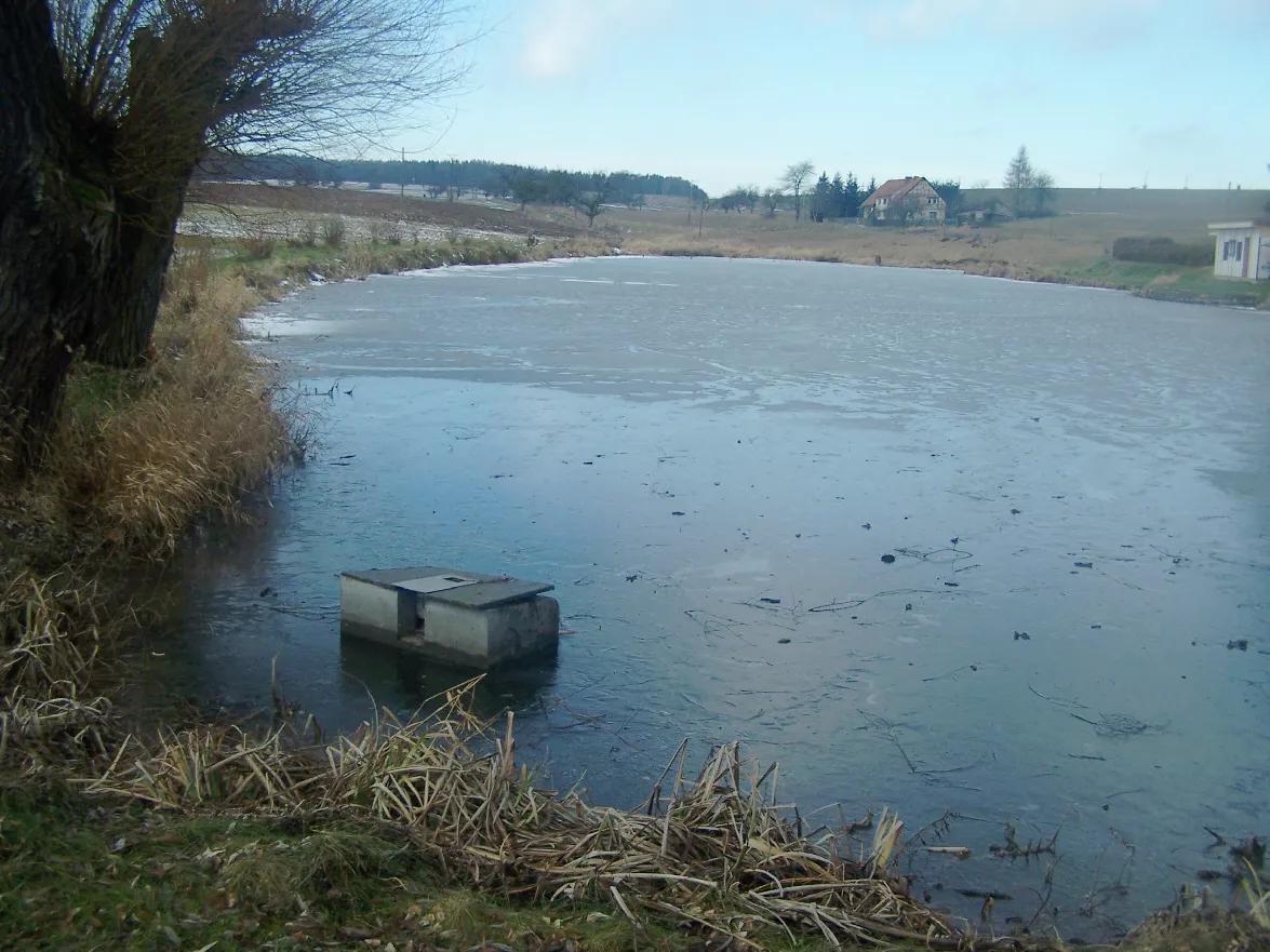 Photo showing: A fishpond in Weissendiez village.