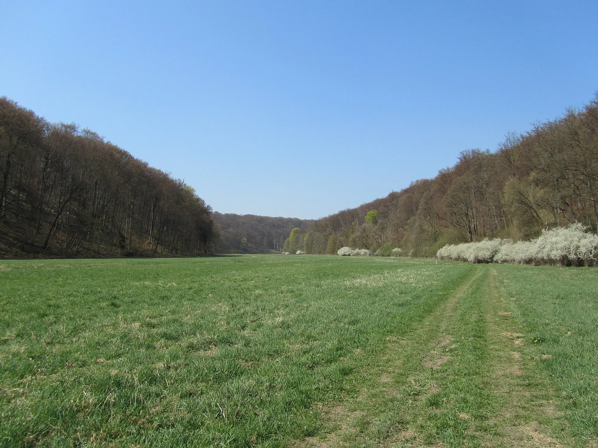 Photo showing: Im oberen Helbetal bei Sondershausen (Thüringen).