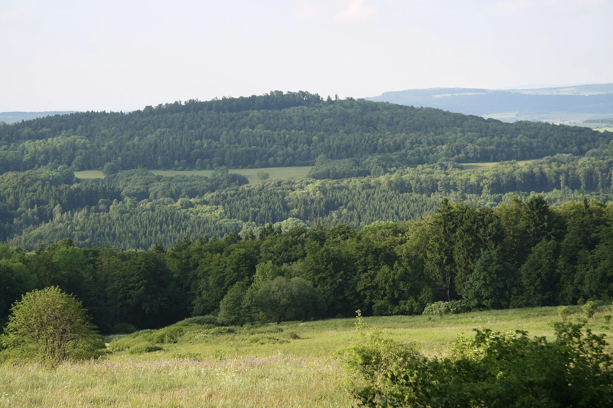 Photo showing: Blick vom "Heimatblick" bei Leubach (Stadt Fladungen) nordwärts zum Streufelsberg (Thüringische Rhön)