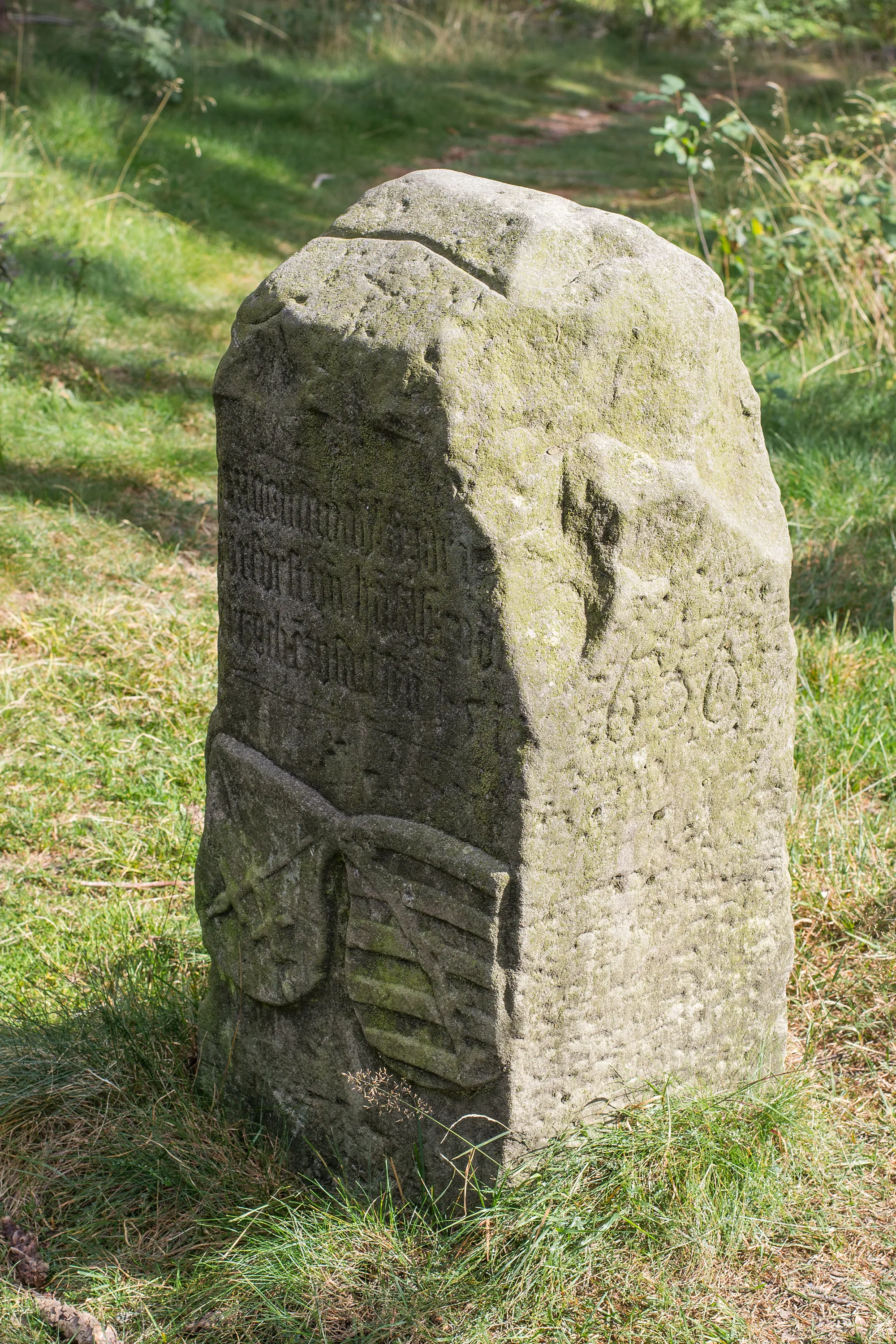 Photo showing: Kurfürstenstein, Landesgrenzstein Nr. 656 der Landesgrenze Bayern/Thüringen am Schönwappenweg/Rennsteig. Das Foto zeigt die in Richtung Thüringen weisende Seite des Grenzsteins.