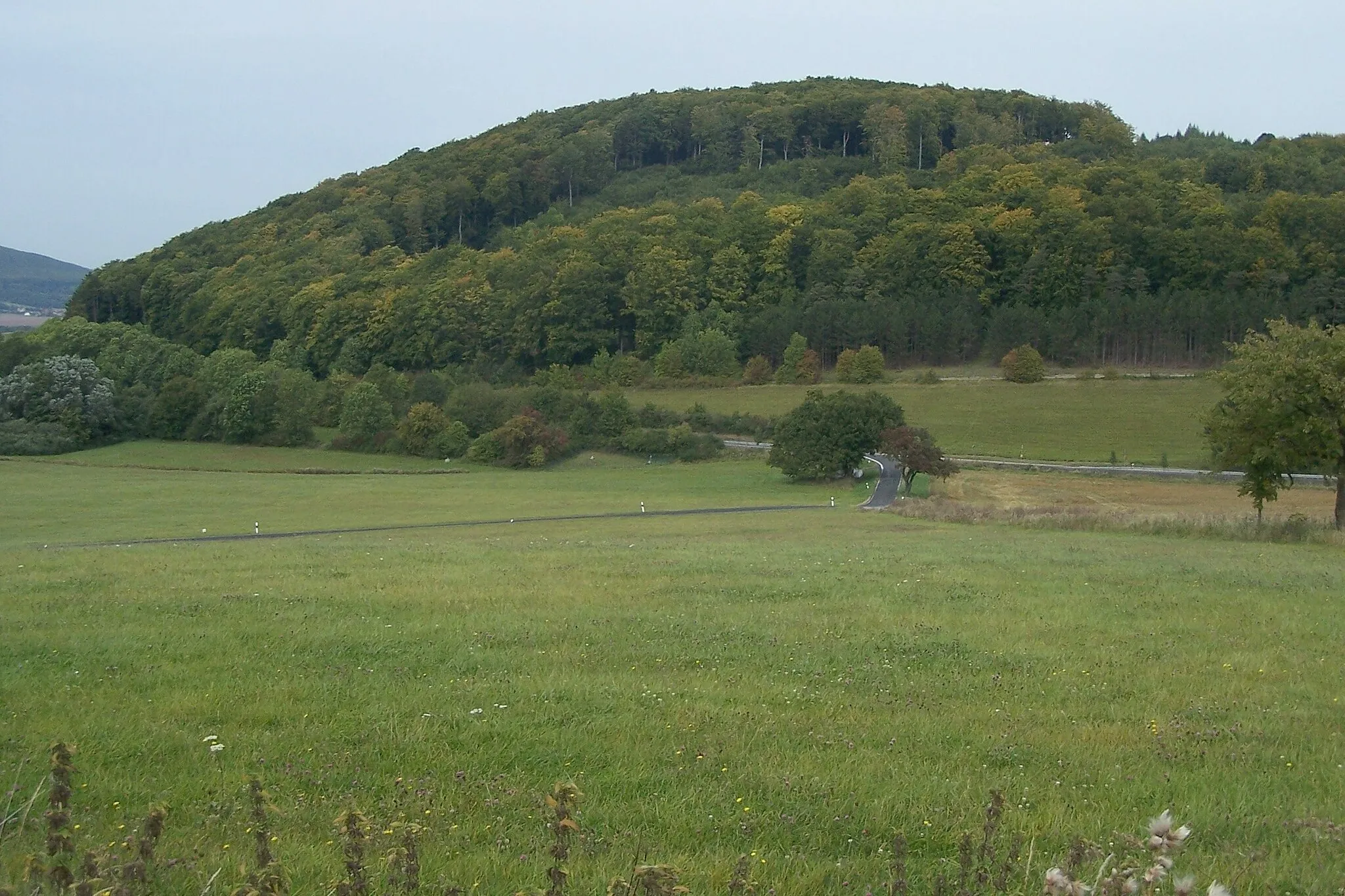 Photo showing: Blick von Lenders auf den Berg Schorn mit der Burgstelle Schöneburg, sie befindet sich im nordwestlichen Berghang - links oberhalb der erkennbaren Bresche im Wald.