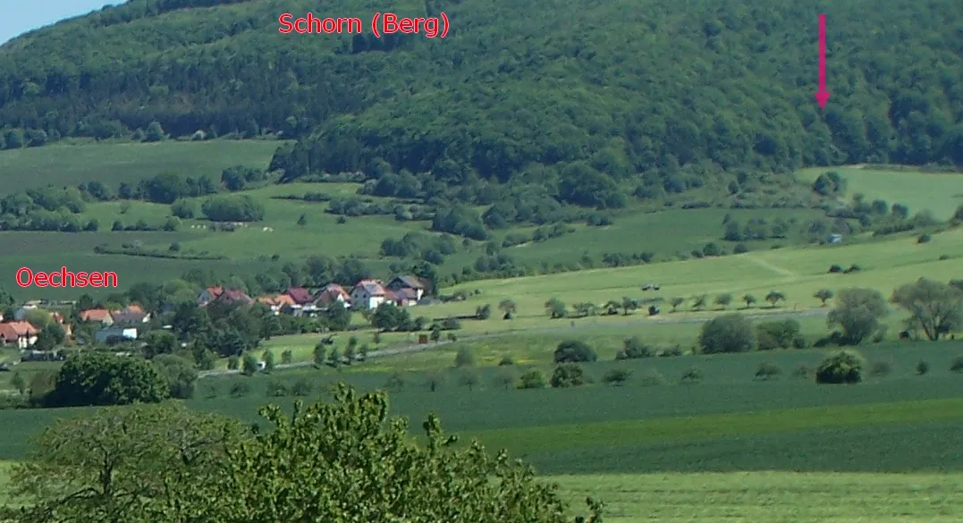 Photo showing: Am Fuß des Berges Schorn (Nordhang) befindet sich am Waldrand ein Kalktuff-Niedermoor, zur Ausdehnung der Schutzzone siehe Geoproxy Thüringen: Gemarkung Oechsen Flur 7 Flurstücke 982, 983 und 989.