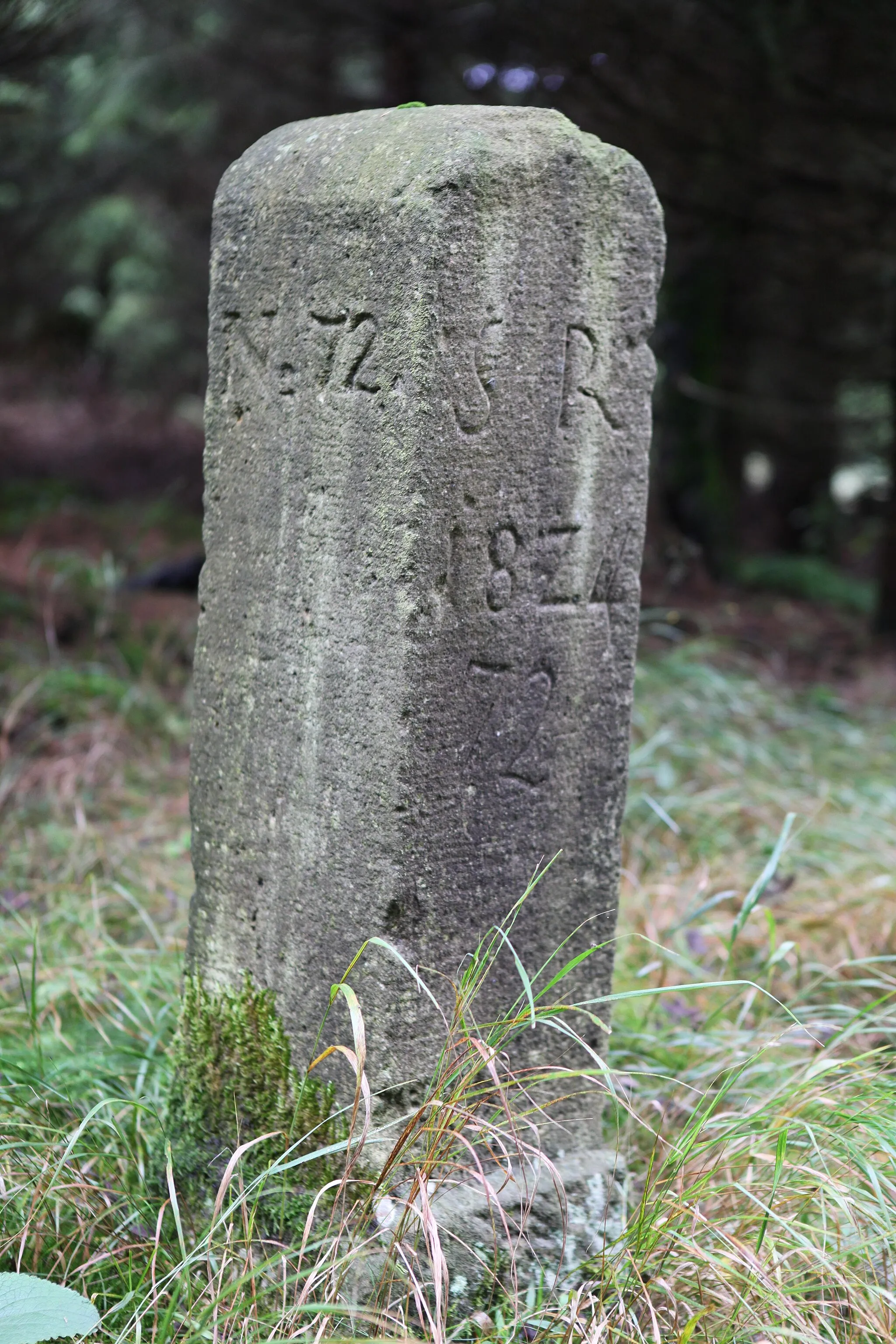 Photo showing: Rennsteig Abschnitt Saarzipfel – Hohe Heide Landesgrenzstein 72