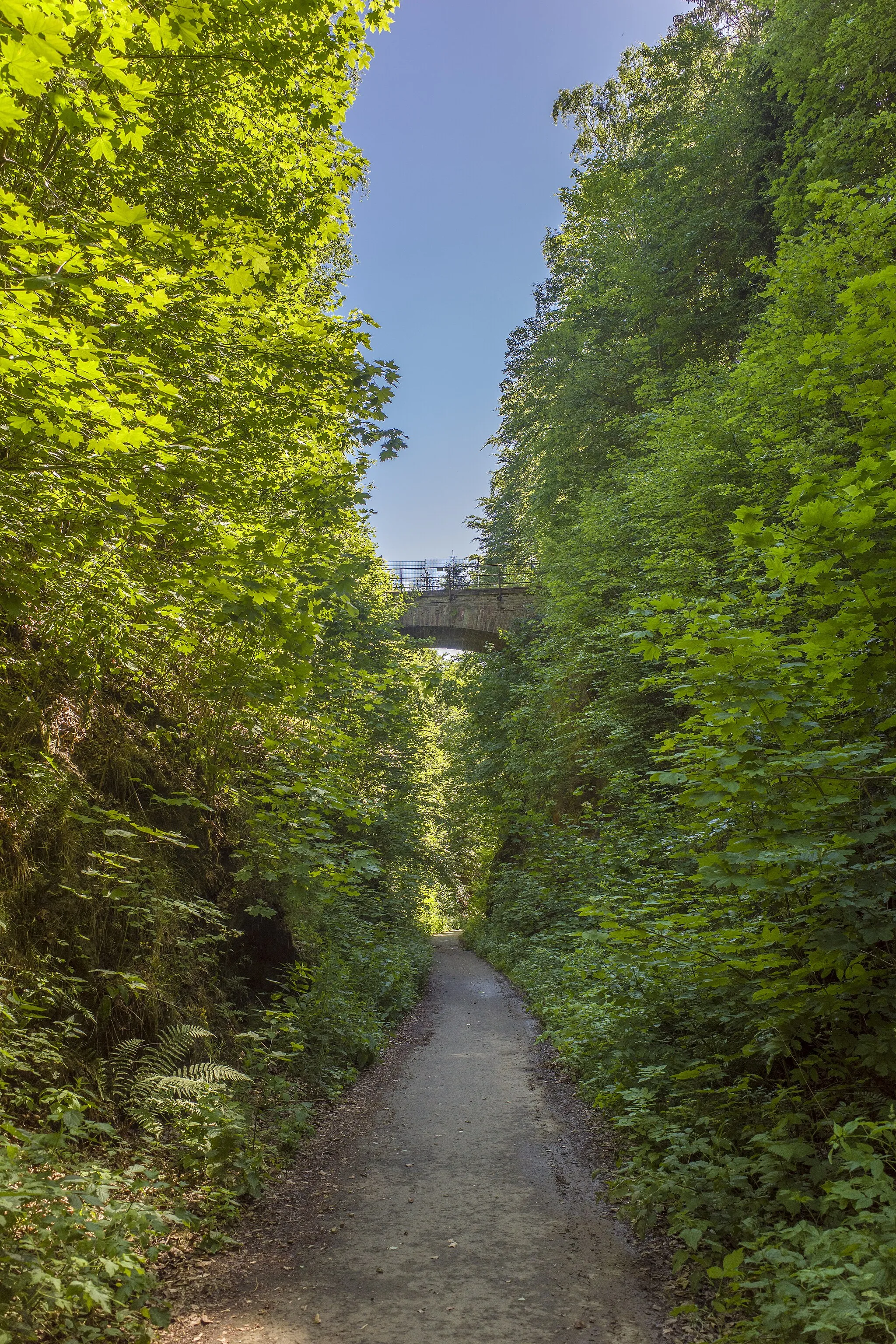 Photo showing: Im historischen Bahneinschnitt beim ehemaligen Bahnhof Auwallenburg (Geotop / Naturdenkmal "Zechsteindiskordanz Auwallenburg")