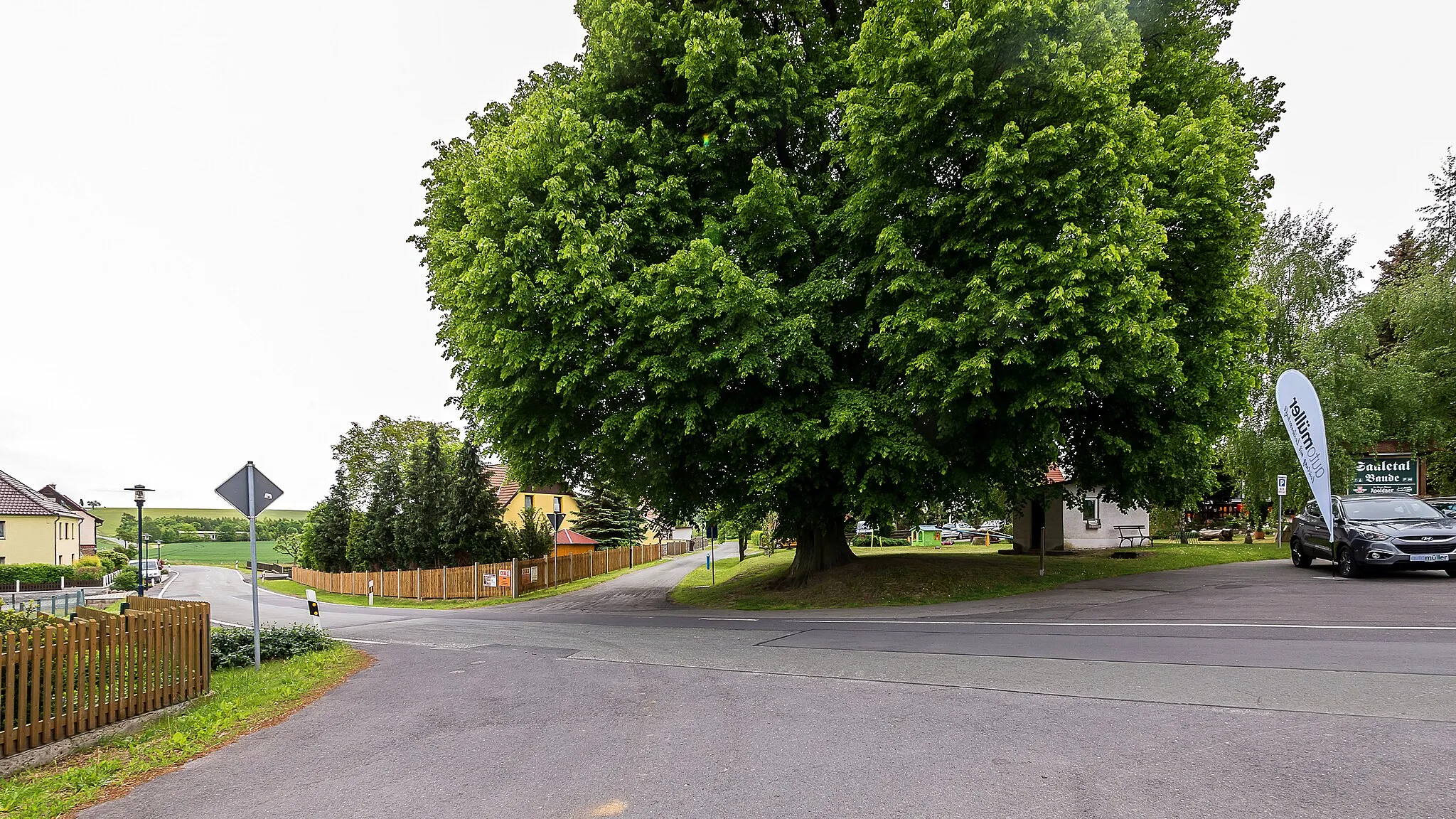 Photo showing: Ortslage von Kalte Schenke mit einer als Naturdenkmal geschützten Sommerlinde (Tilia platyphyllos; ND SOK 01)