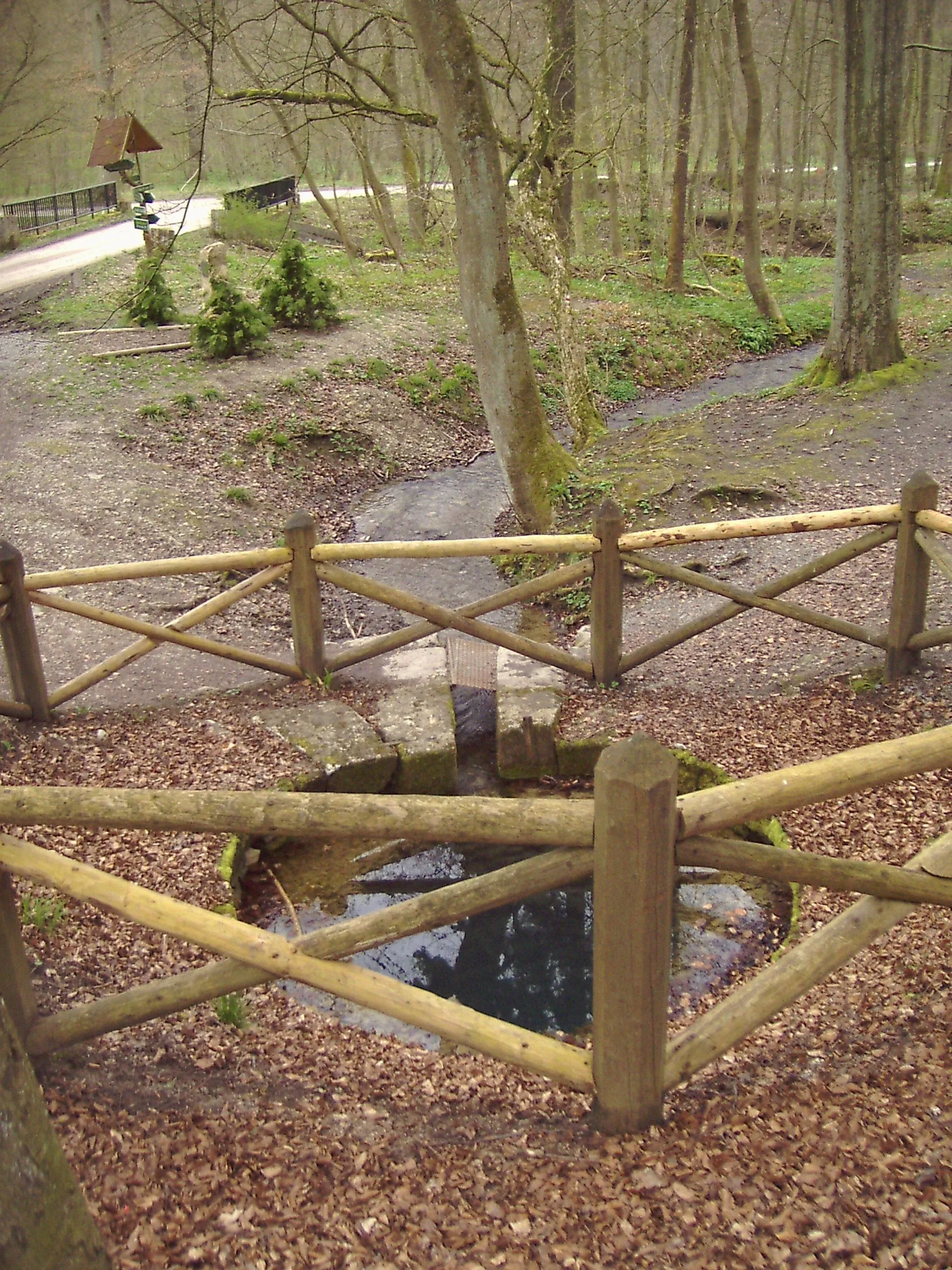 Photo showing: Der Spittelbrunnen im Süden des Mühlhäuser Stadtwaldes. Der Hungerbrunnen ist mit Kalkstein eingefaßt und mit Holzbrüstung abgesichert. Nur ausnahmsweise fließt Wasser, wie in diesem Bild, nach einem regenreichen Winter und Frühjahr.