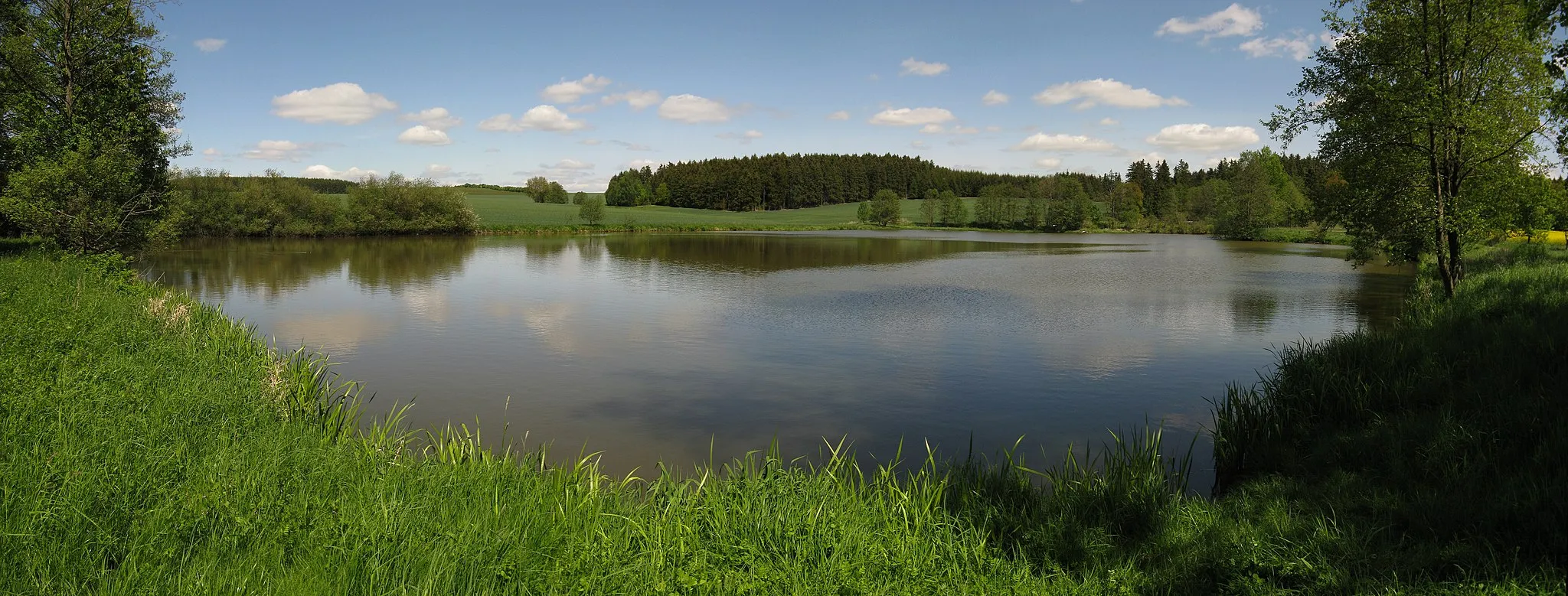Photo showing: Ein Teich in Dreba im Dreba-Plothener Teichgebiet (Thüringen); außerhalb der Schutzgebiete