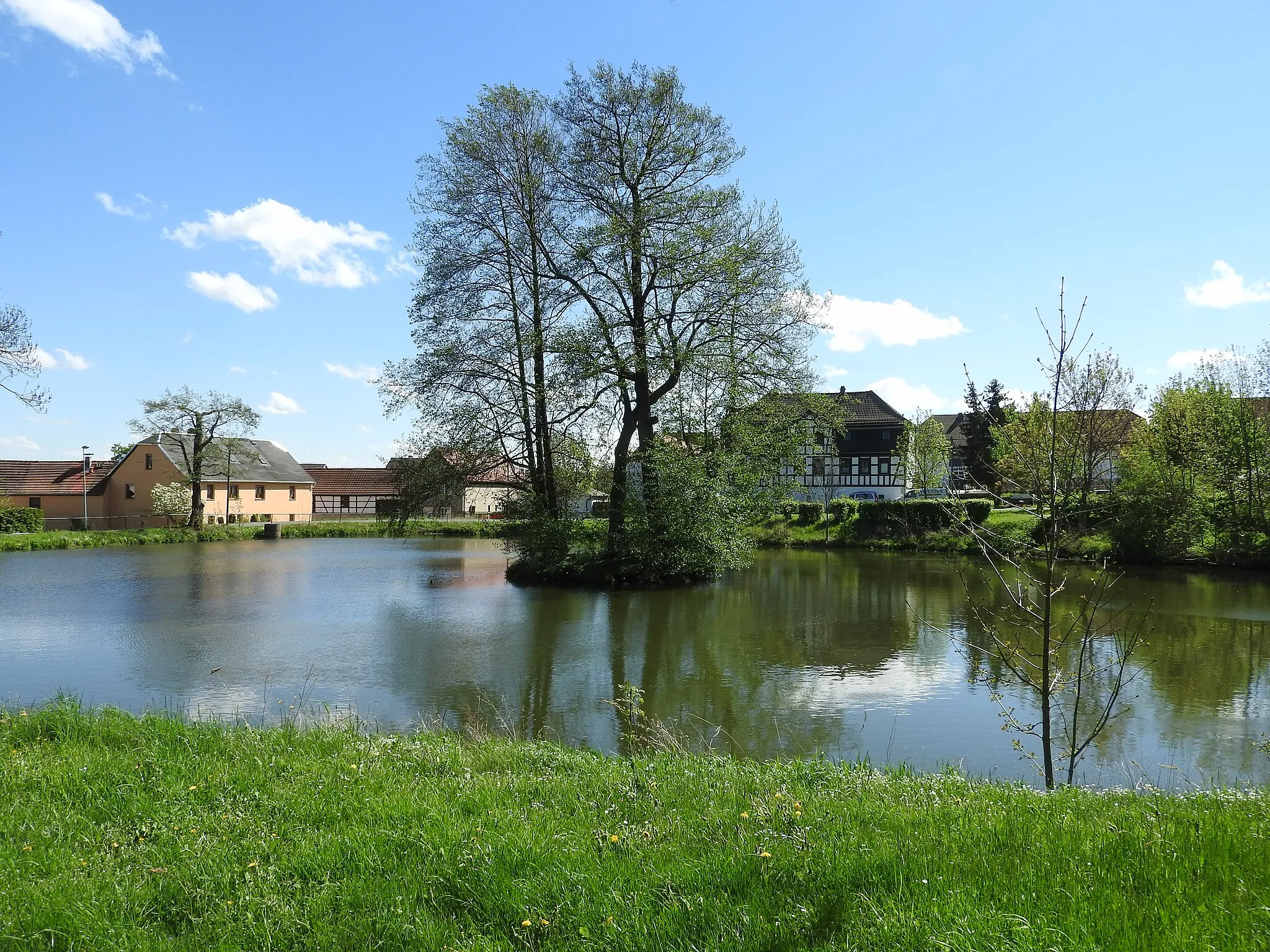 Photo showing: Teich in Gütterlitz, Thüringen