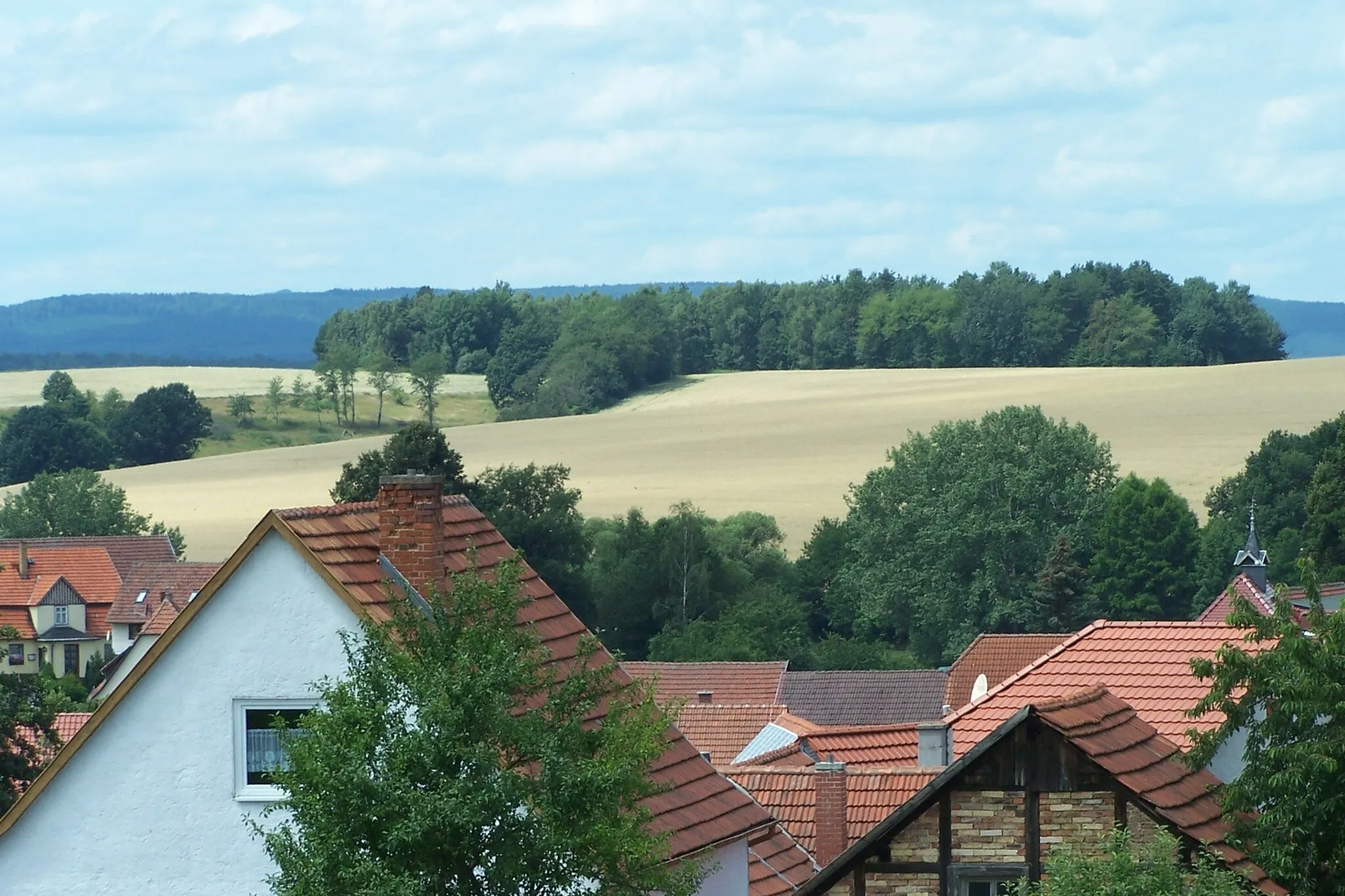 Photo showing: Blick über Meimers nach Westen zum "Dänischen Berg".