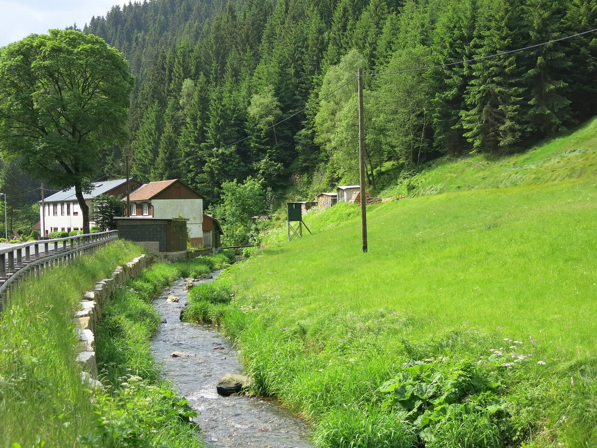 Photo showing: Der Fluß Oelze durchfließt ein Kerbtal und mündet in die Schwarza.