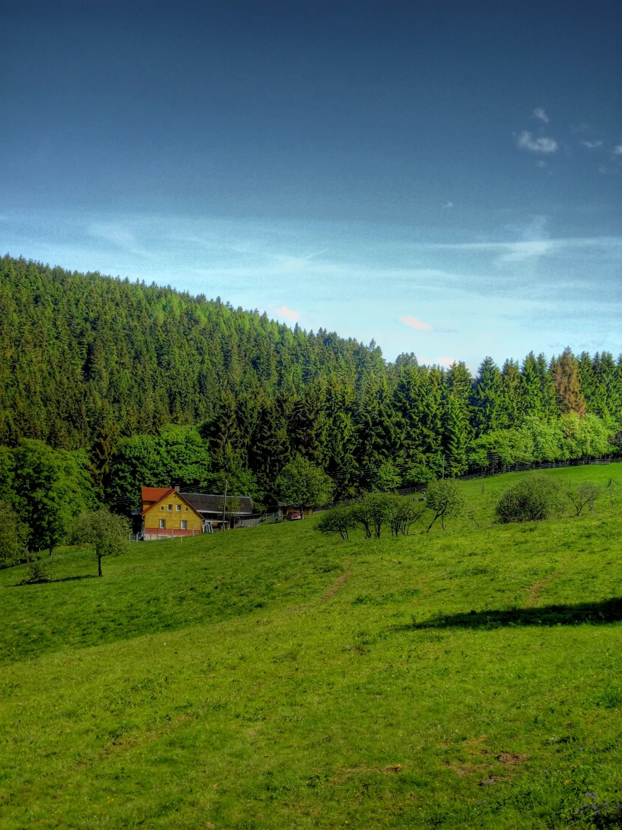 Photo showing: Thüringer Wald