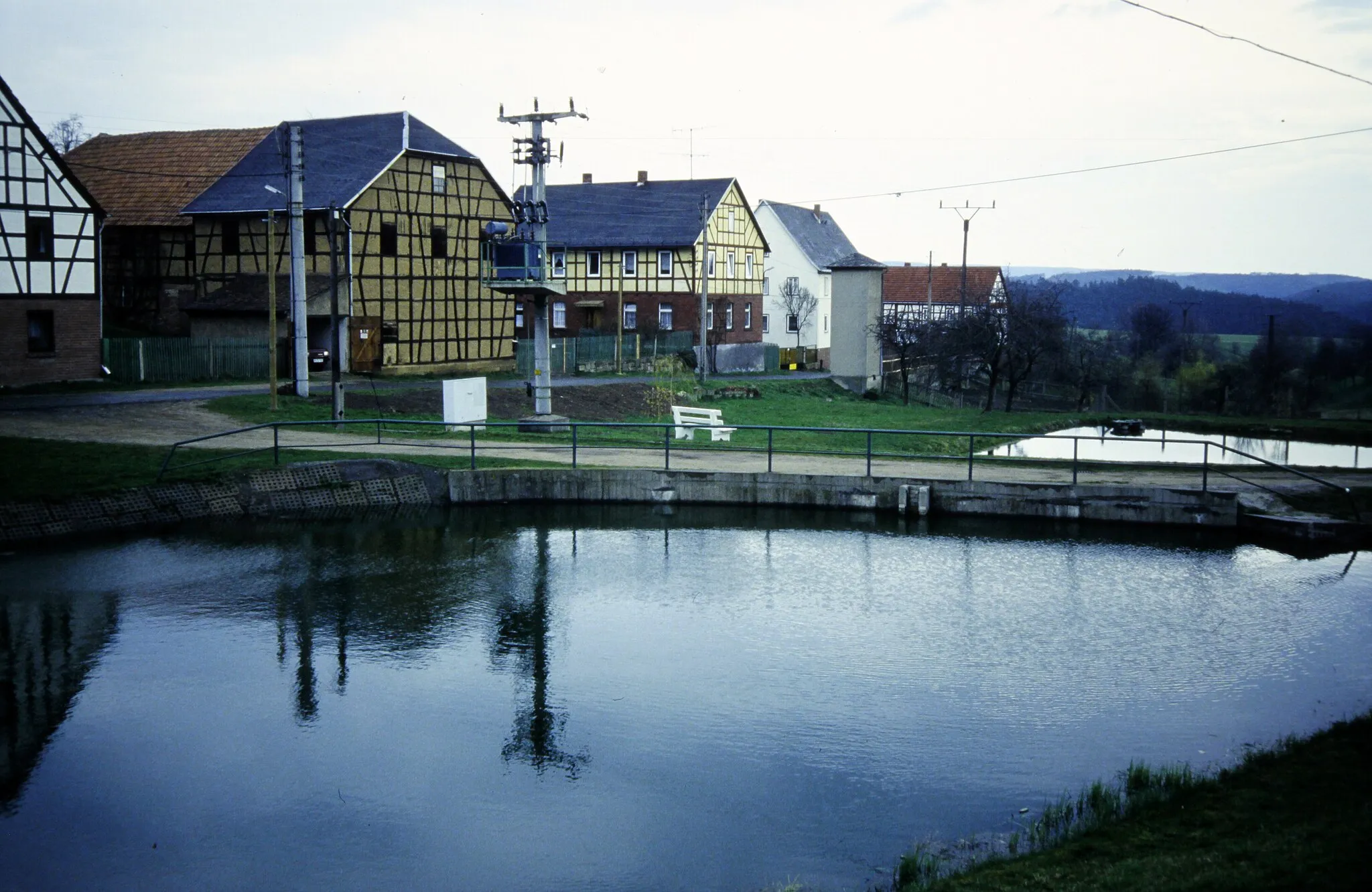Photo showing: Teichweiden, 1994