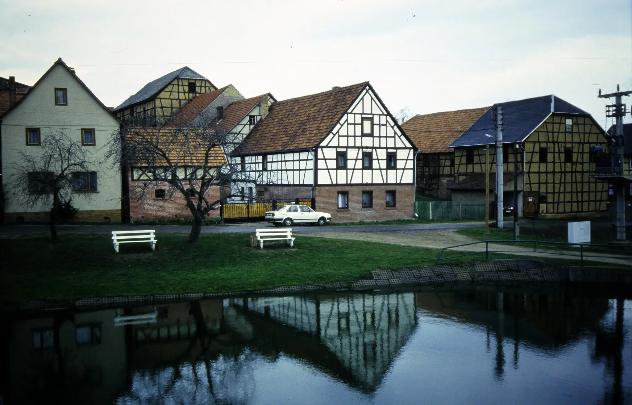 Photo showing: Teichweiden, 1994