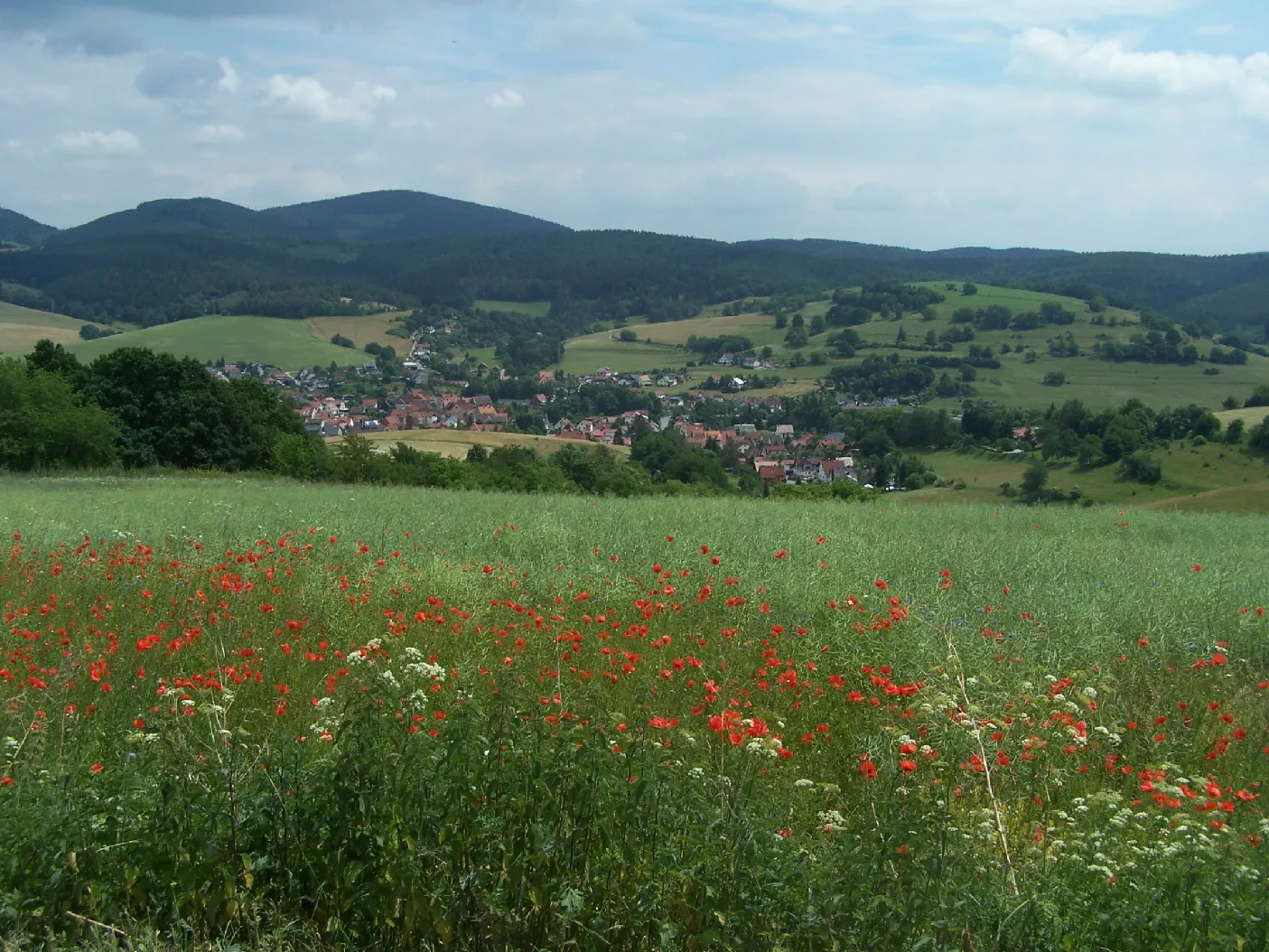 Photo showing: The landscape at Trusetal.