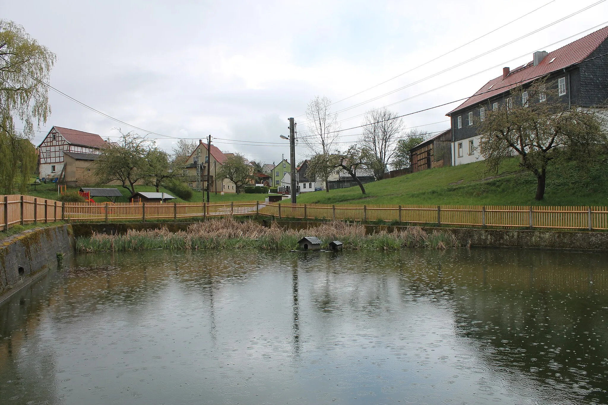 Photo showing: Der Dorfteich in Bollberg (Thüringen) im April 2014.