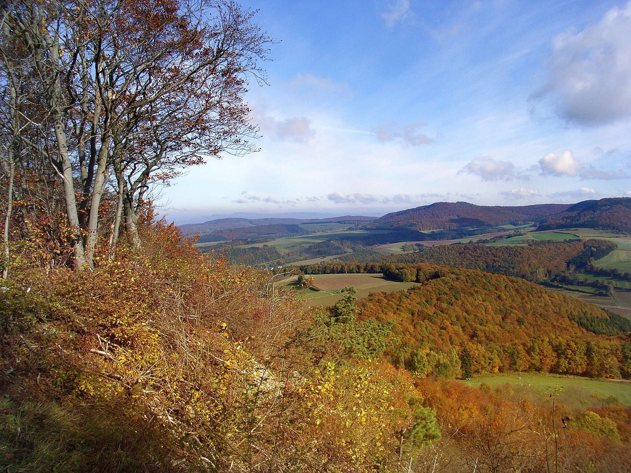 Photo showing: Herbst im hessischen Werra-Meißner-Kreis: Blick vom Holstein (Berg zwischen Weißenborn und Breitau in Sontra) in nordöstliche Richtung auf die Boyneburg (Hintergrund) im Naturschutzgebiet „Boyneburg und Schickeberg bei Breitau“.