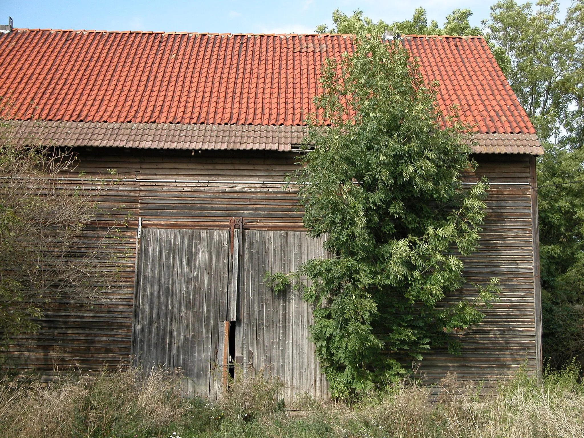 Photo showing: 2003 in Peukendorf