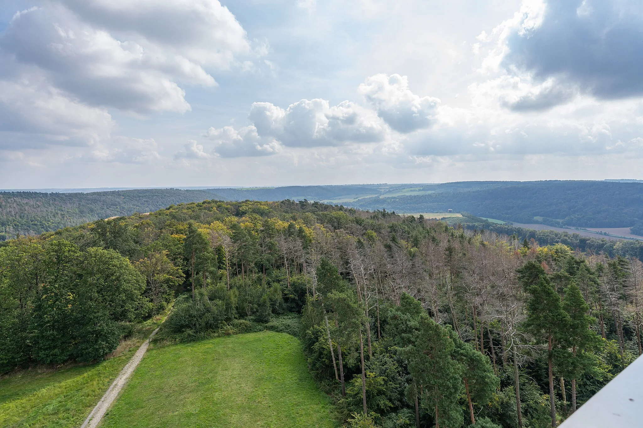 Photo showing: View from the lookout tower Mittelberg to the forest around. Here with view to the southeast. Besides the quantities of trees per se, you can also see strips of dead trees that stand out in color. There were a lot of insects flying around at the photo location, and they show up as blurry dots or stripes in the photo.