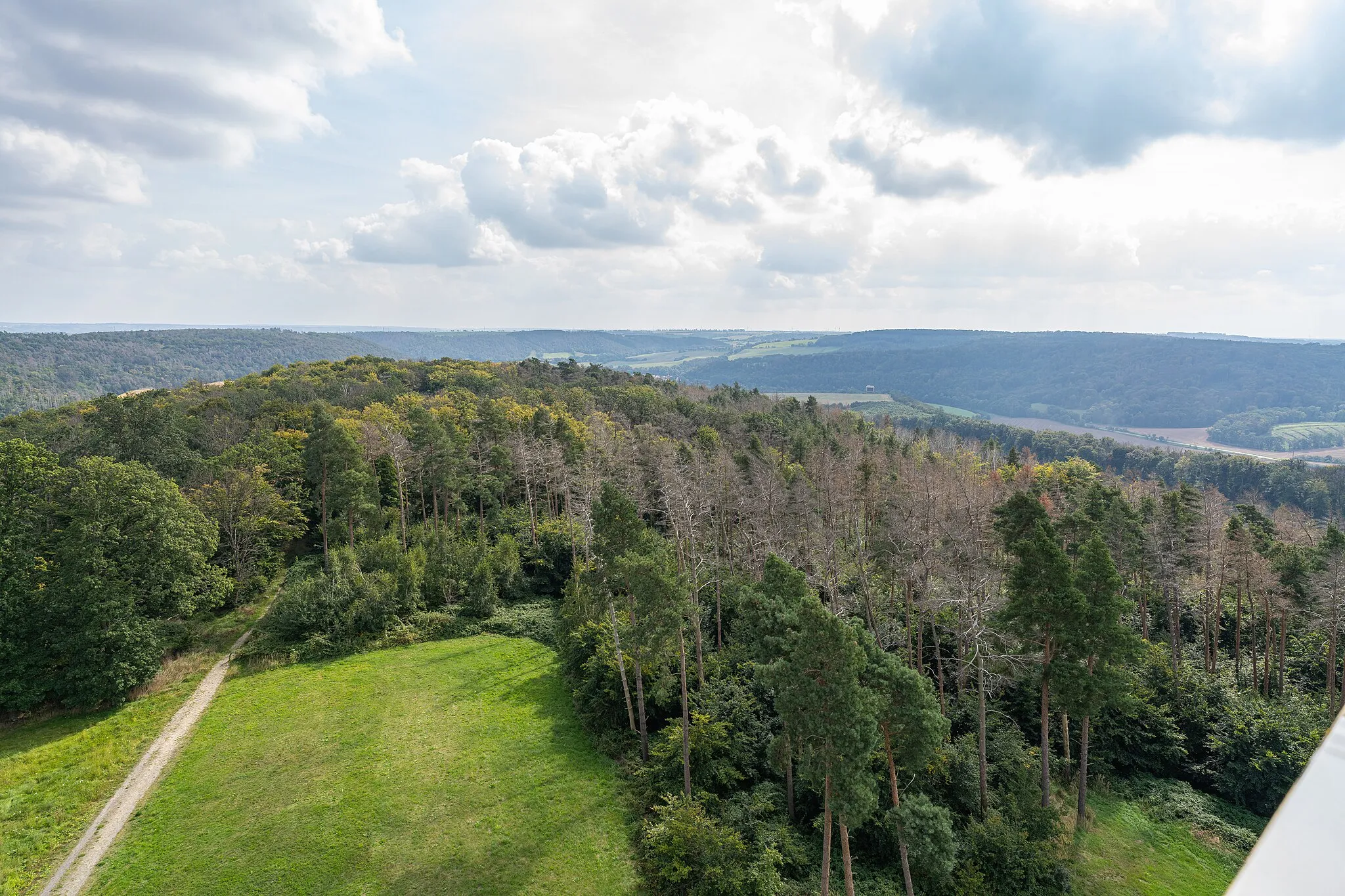 Photo showing: View from the lookout tower Mittelberg to the forest around. Here with view to the south east. Besides the quantities of trees per se, you can also see strips of dead trees that stand out in color.