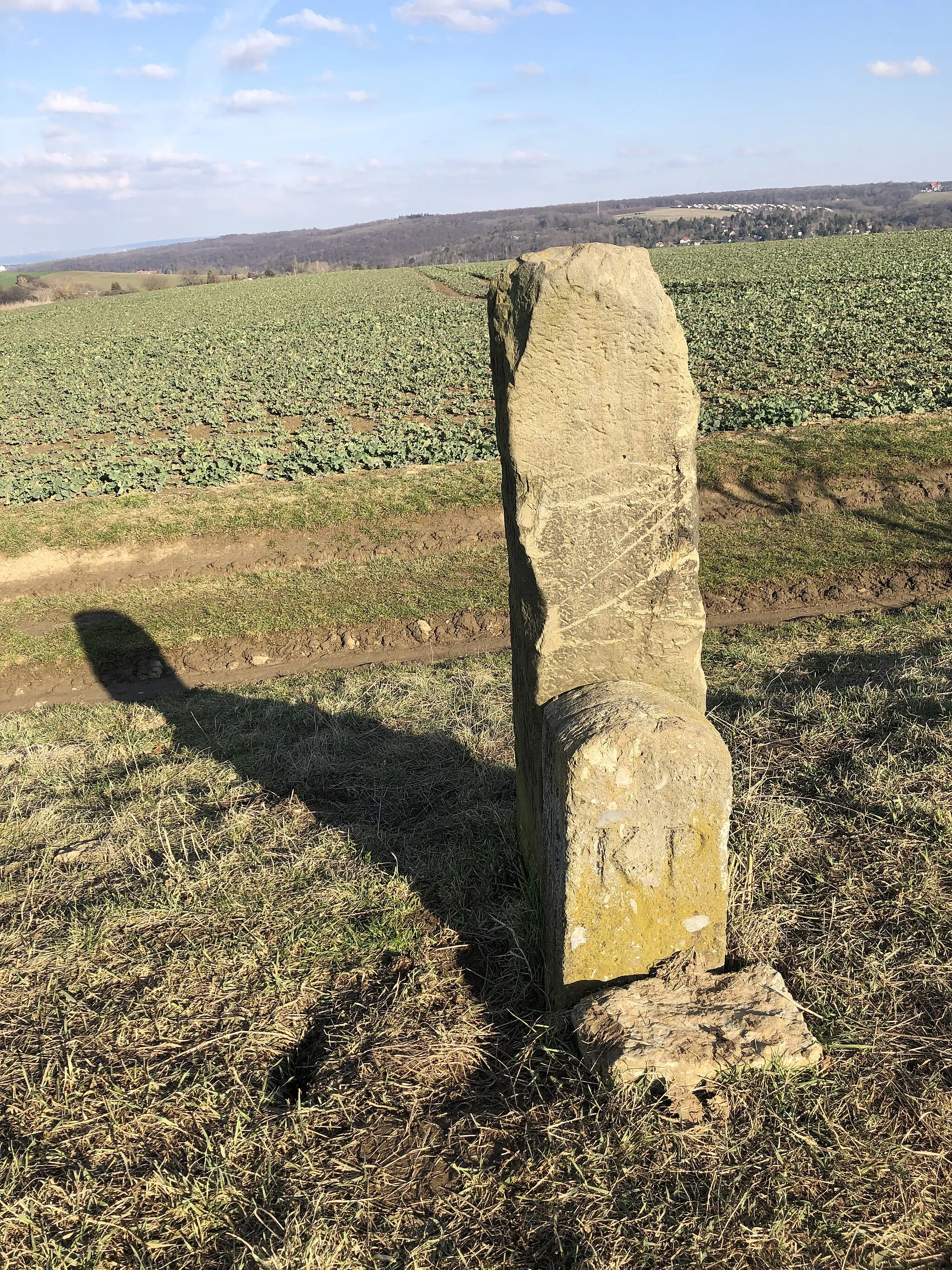 Photo showing: Der Brunstein (West-Seite) mit Grenzstein (KP - Königreich Preußen) der Gemarkungsgrenze zwischen Bischleben/Stedten und Schmira.