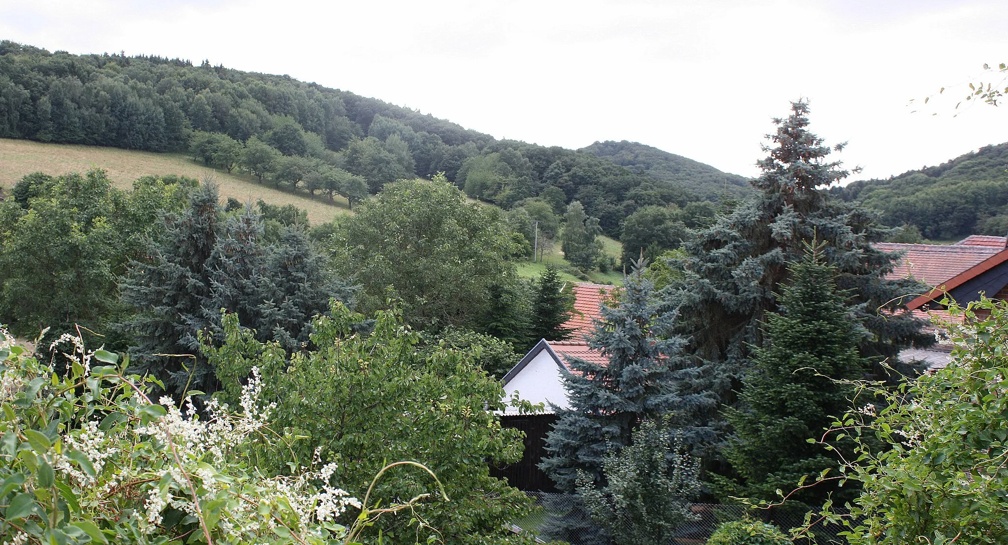 Photo showing: Garnbach, view to the mountains "Hohen Schrecke"