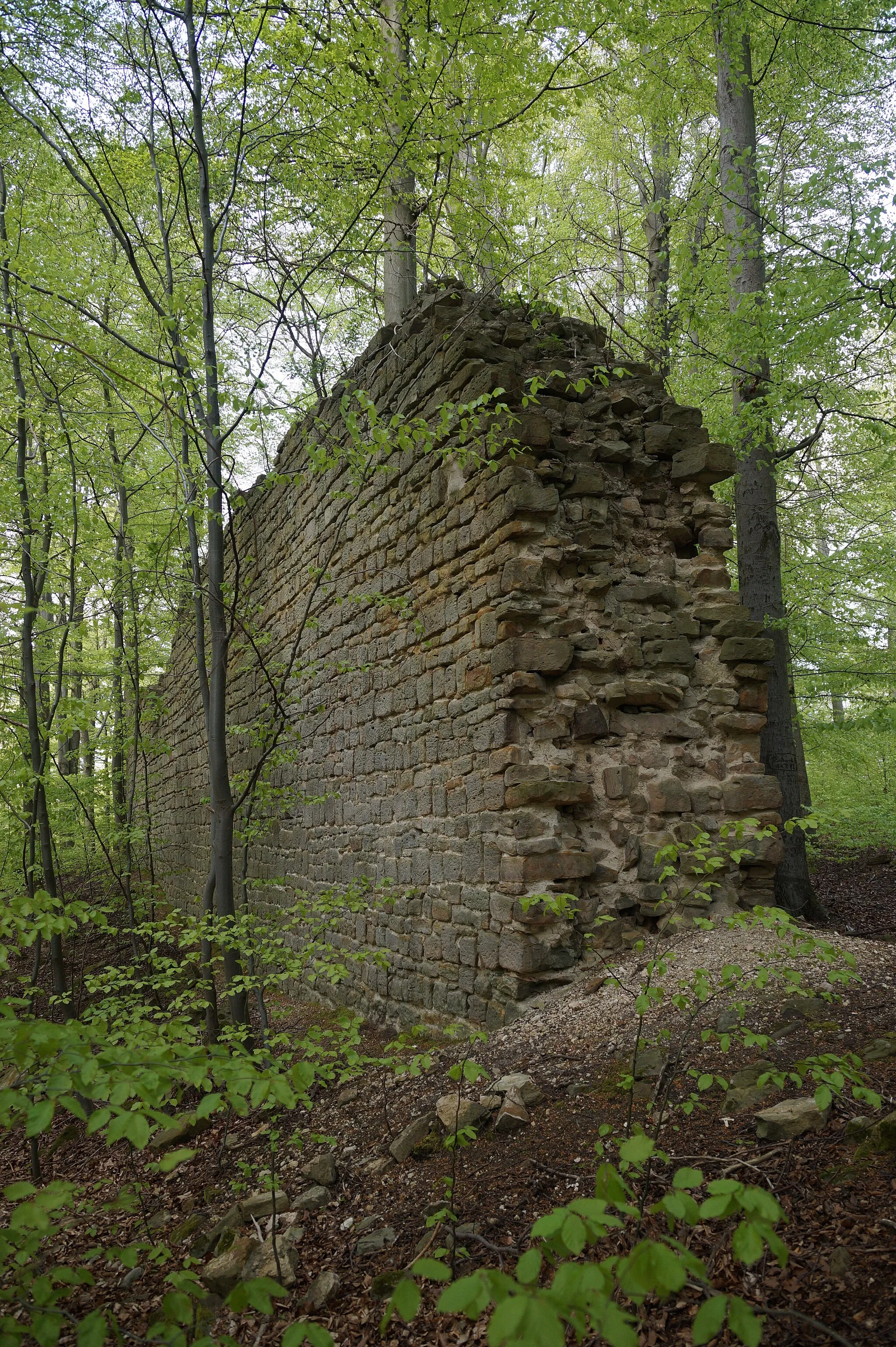 Photo showing: Reste der westlichen Wehrmauer der Burgruine Rabenswalde