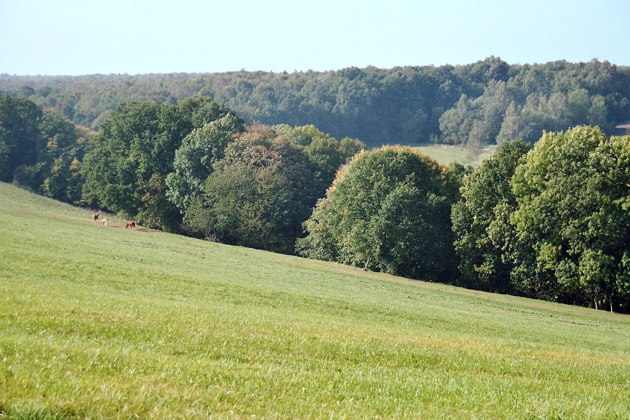 Photo showing: Lonzig (Gutenborn), landscape