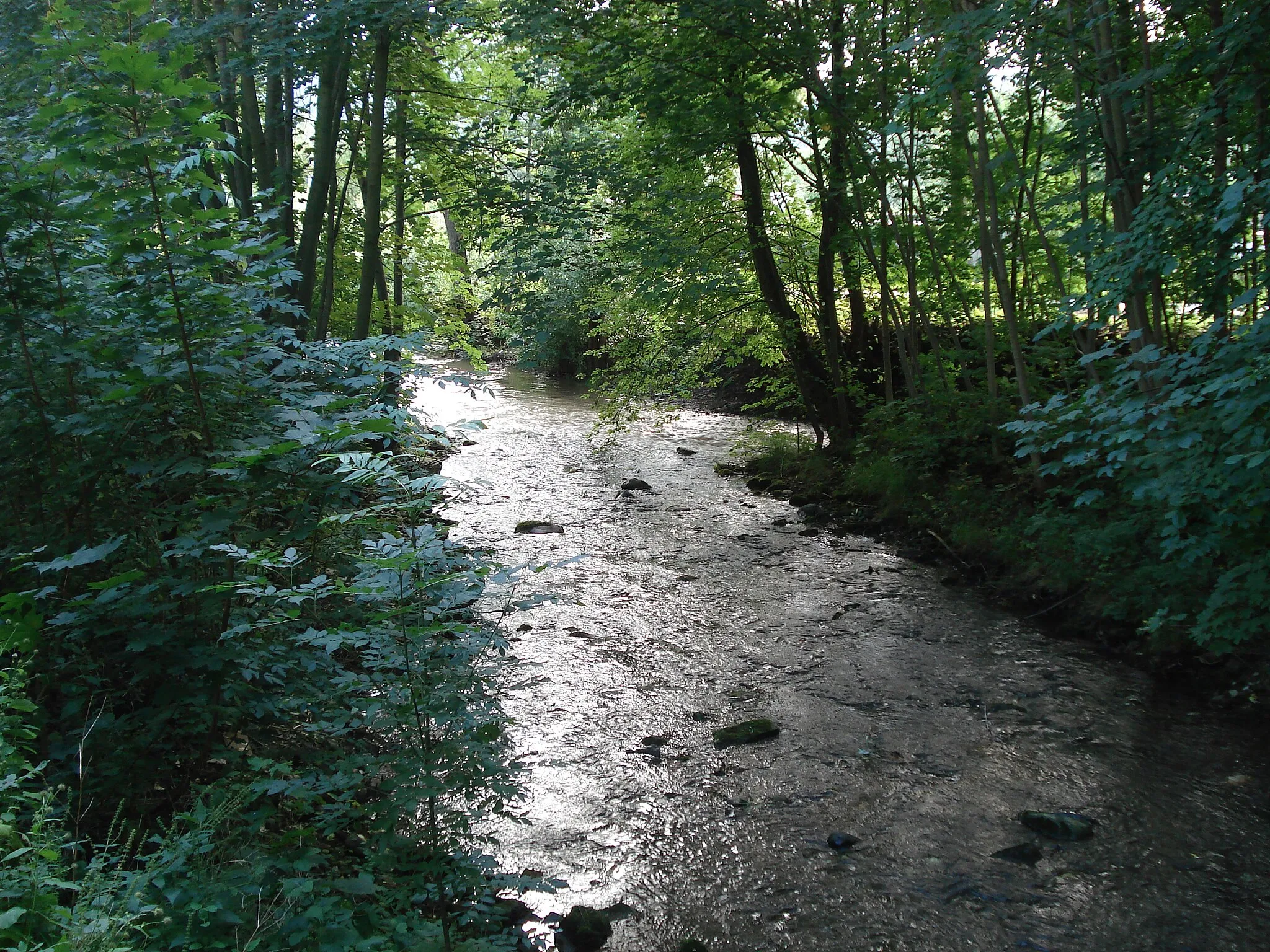 Photo showing: Zusammenfluss von Wilder (links) und Zahmer Gera (rechts) in Plaue