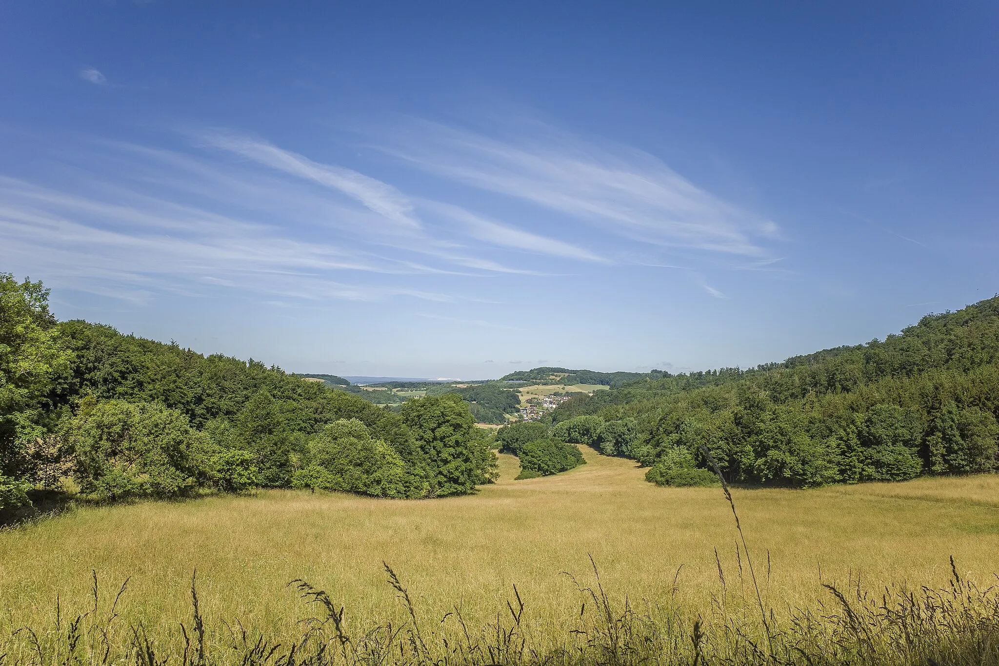 Photo showing: Blick über Auwallenburg von nördlich der Turmklause am Hühnberg im Landschaftsschutzgebiet "Thüringer Wald"