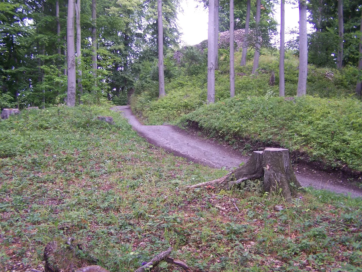 Photo showing: The castle Scharfenburg, the inner wall.