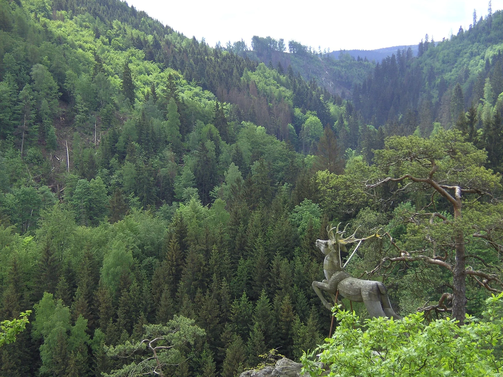 Photo showing: View over the Höllental in Frankenwald from lookout point Hirschsprung