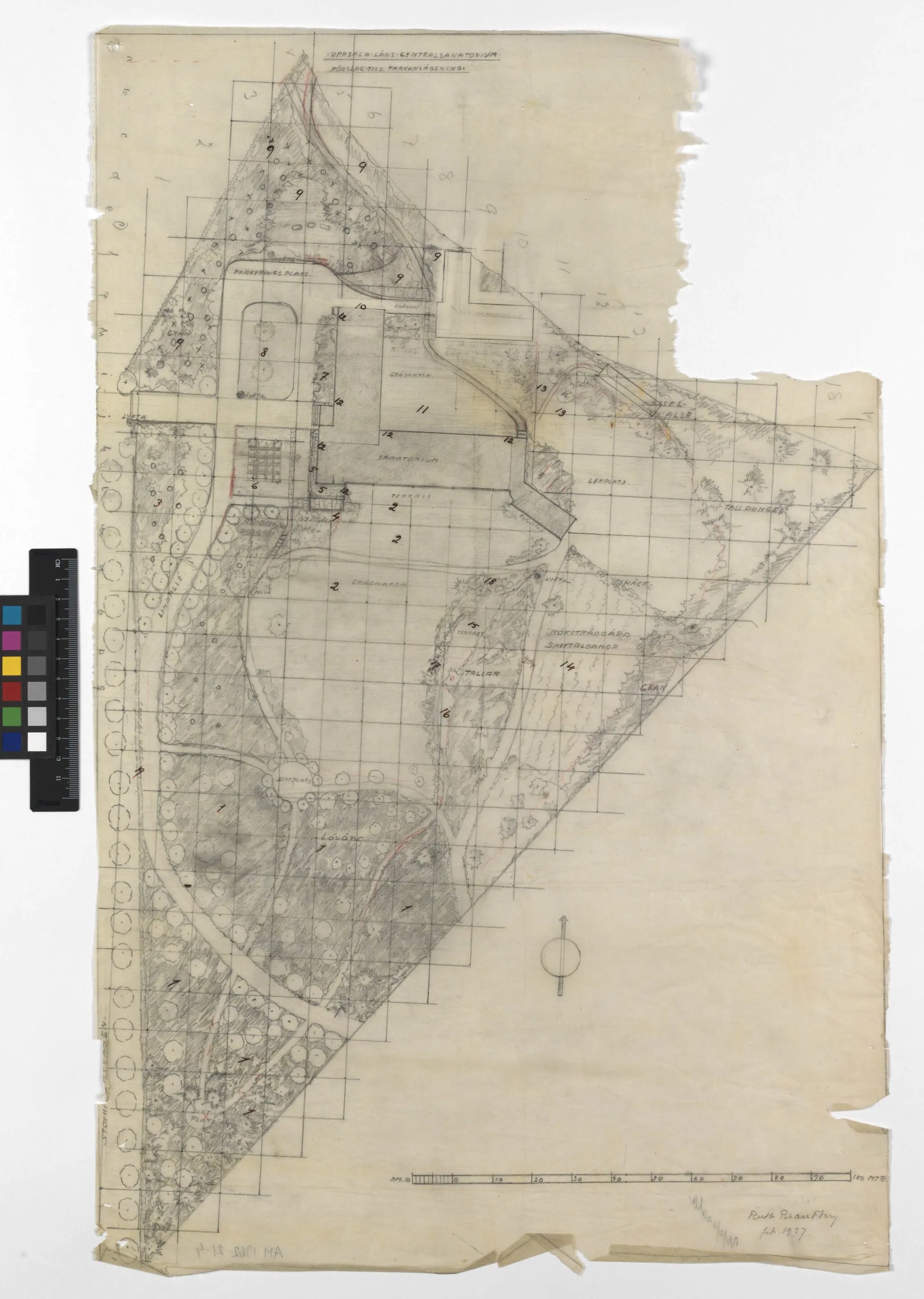 Photo showing: Zentrales Sanatorium des Bezirks Uppsala. Vorschlag für die Parkgestaltung
Bezeichnung: Zeichnung
Genaue Bezeichnung: Situationsplan
Kennung: ARKM.1962-21-04
Abgebildet, Standort: Uppland Uppsala Uppsala Uppsala
Bemerkungen: Das Sanatorium wurde von Gustaf Birch-Lindgren entworfen, die Außenanlage von Ruth Brandberg
Technik: Bleistift und Kreide
Material: Skipapier
Typ: Skizze

Aufschrift, Unterschrift: Ruth Brandberg Feb. 1937