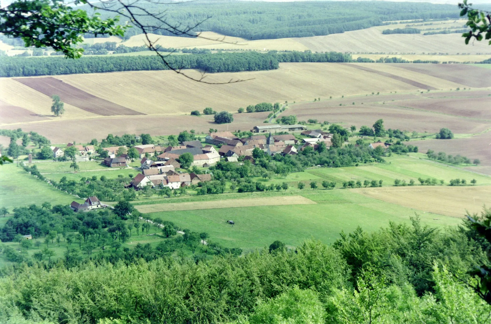 Photo showing: Wallrode, 1992 (im Hintergrund der Teichmühlberg)