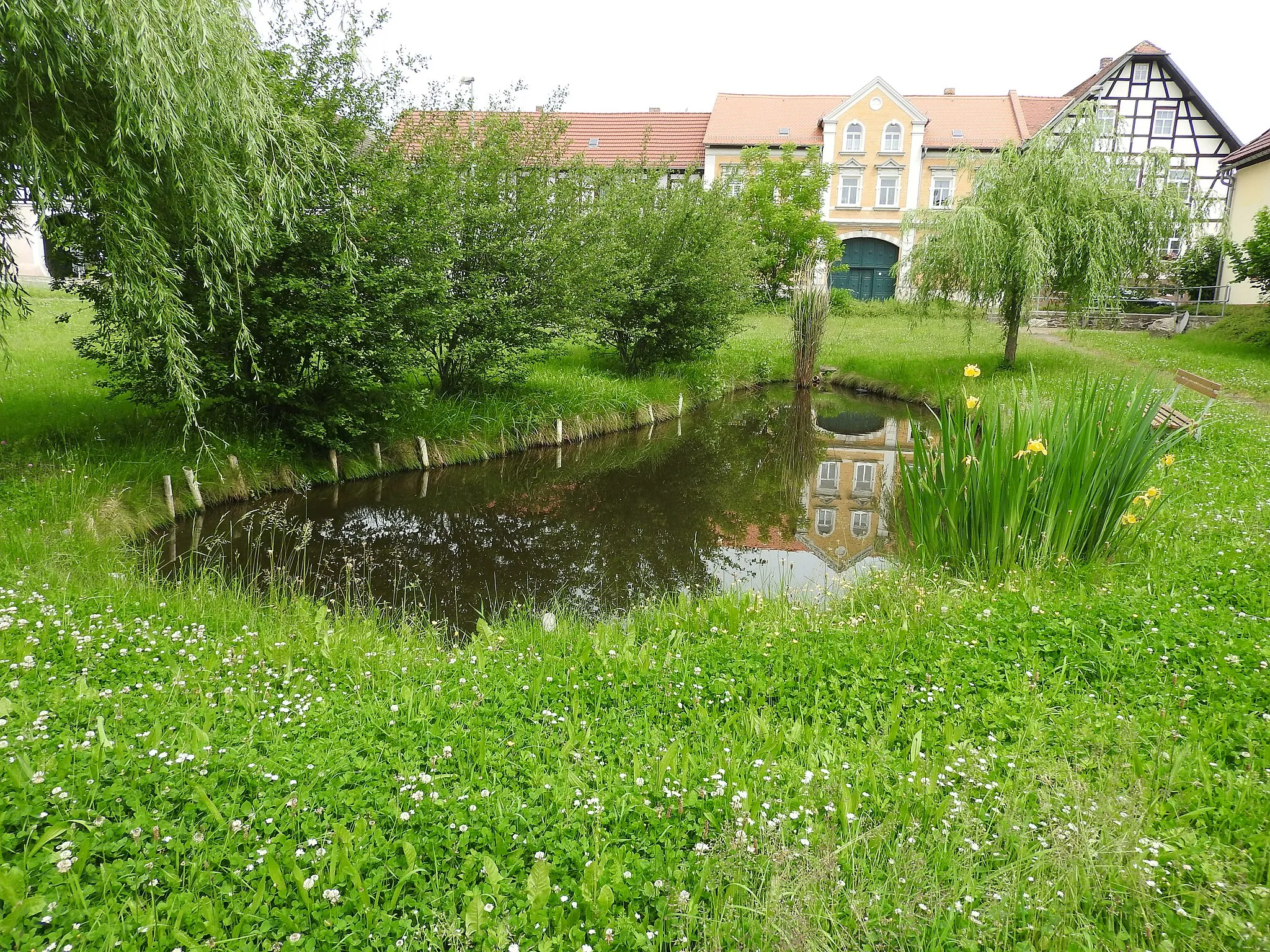 Photo showing: Teich in Großebersdorf (Harth-Pöllnitz), Thüringen