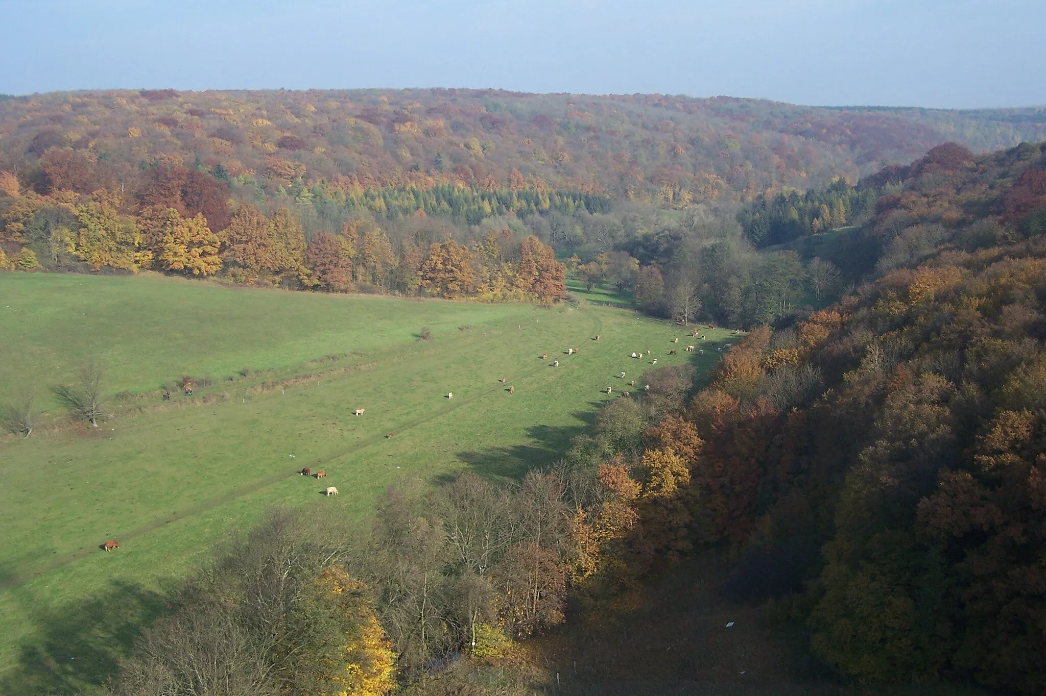 Photo showing: A view of the Nesse-dale near Ebenheim and Haina.