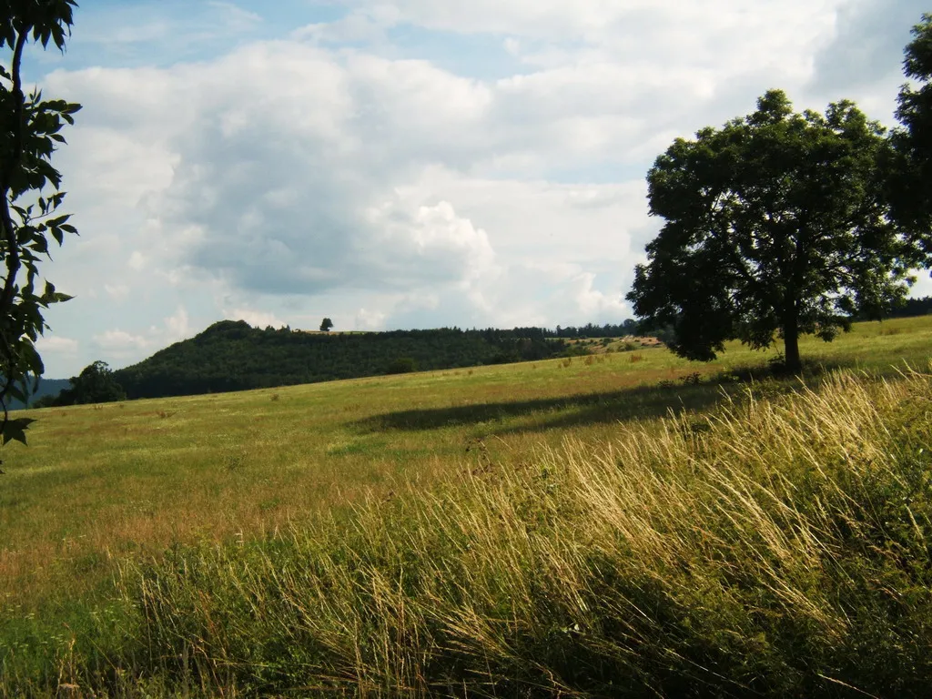 Photo showing: Die Krücke oberhalb von de:Oepfershausen