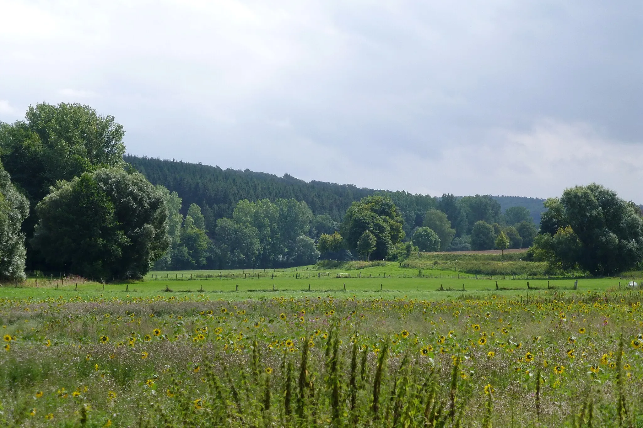 Photo showing: Gartetal südöstlich von Beienrode, Gemeinde Gleichen, Südniedersachsen.