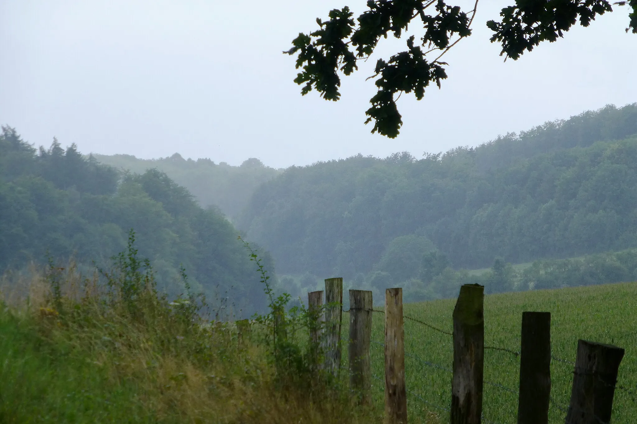 Photo showing: Oberstes Gartetal zwischen Langem Wiesenberg, Hopfenberg und Auberg in der Gemeinde Gleichen, Südniedersachsen