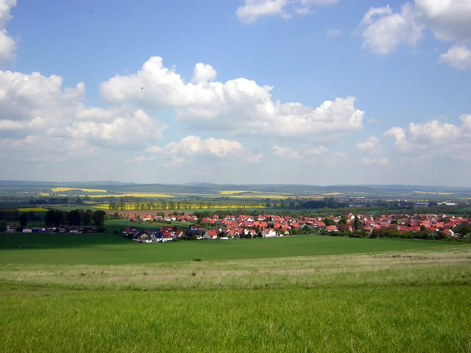 Photo showing: Blick auf Uthleben aus Richtung Süd-West