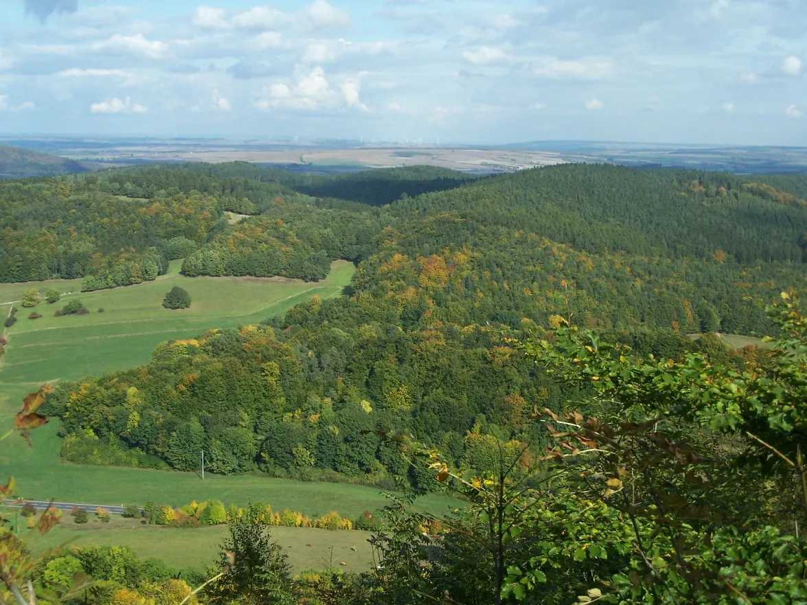 Photo showing: The Dilmen forest.