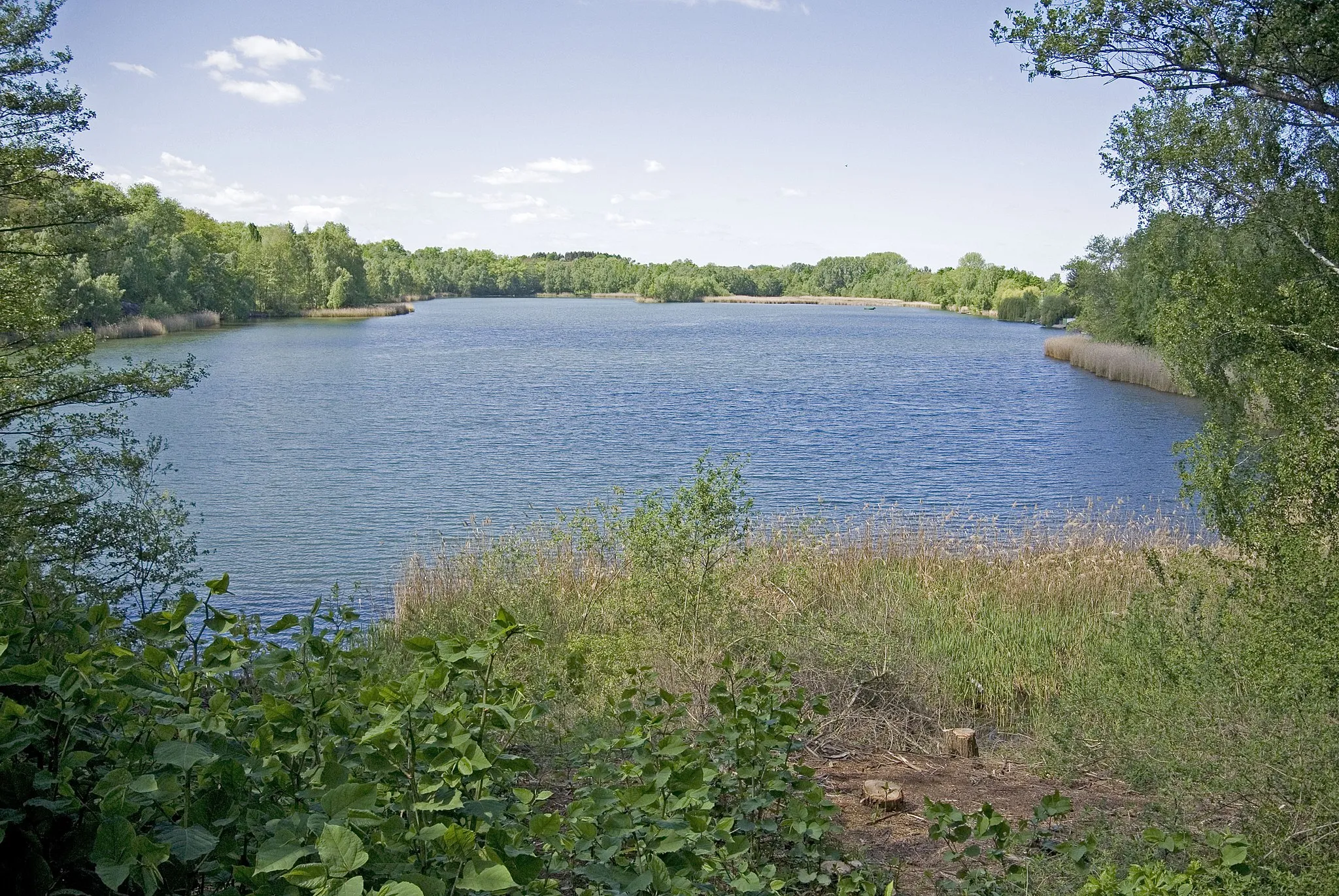 Photo showing: NSG Hainbergsee Meuselwitz (ID 321319}: Hainbergsee bei Meuselwitz im Landkreis Altenburger Land, Thüringen, ca. 18ha, Tiefe: 40m, Inselbiotop spendet wegen reichem Fischbestand Lebensraum für  Reiher, Schwäne, Wildgänse