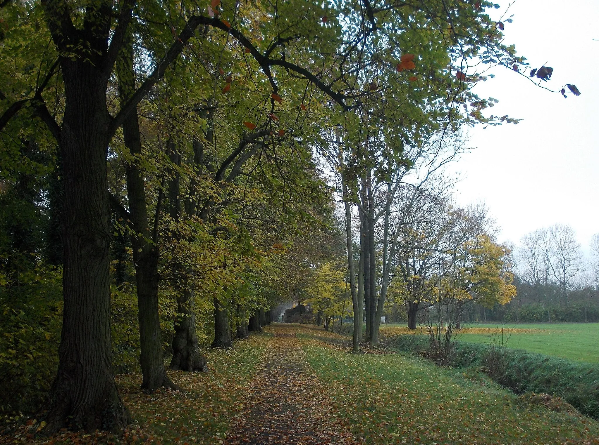 Photo showing: Path in Von Seckendorff Park in Meuselwitz  (Altenburger Land district, Thuringia)