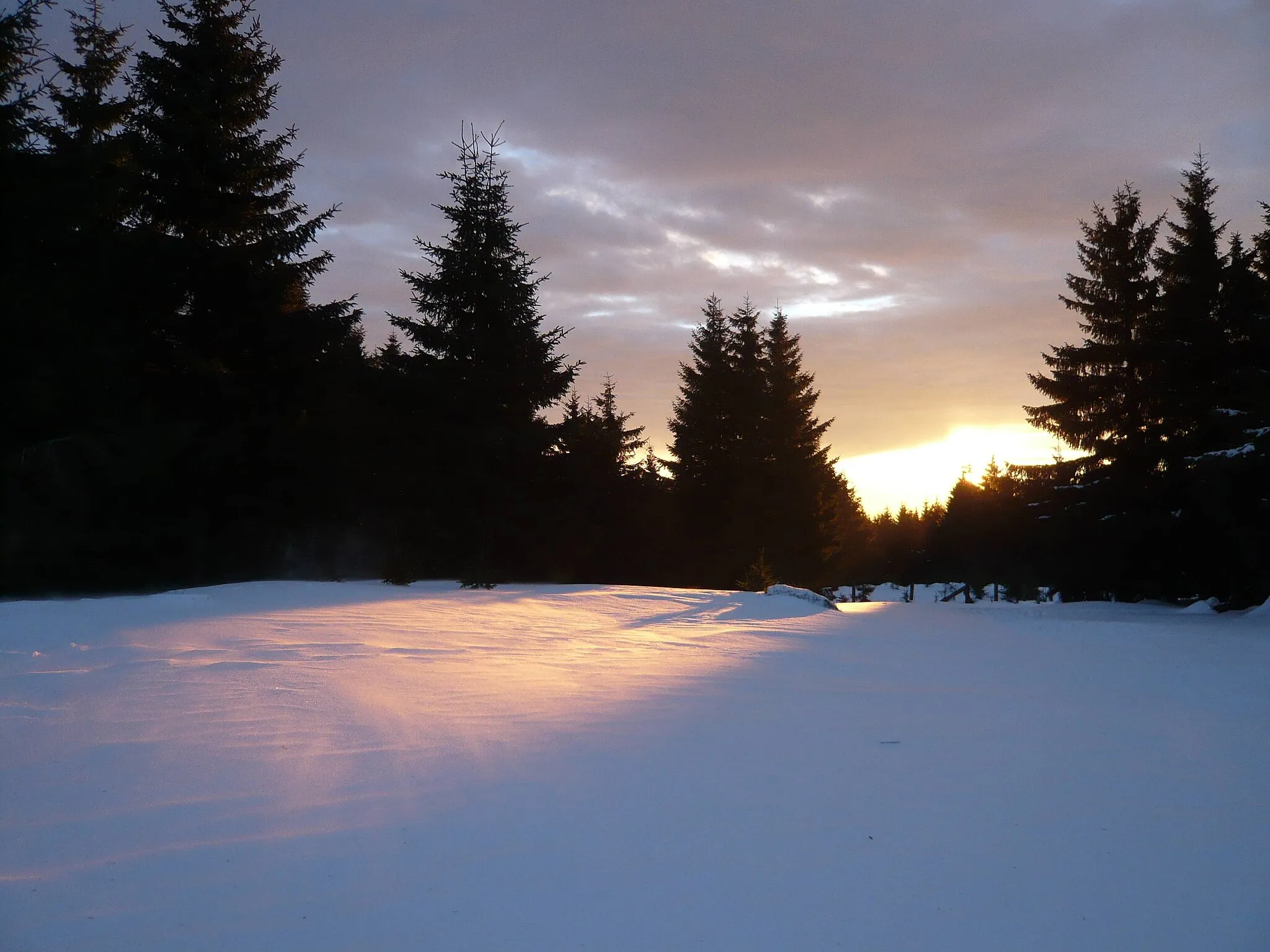 Photo showing: Naturpark Thüringer Wald