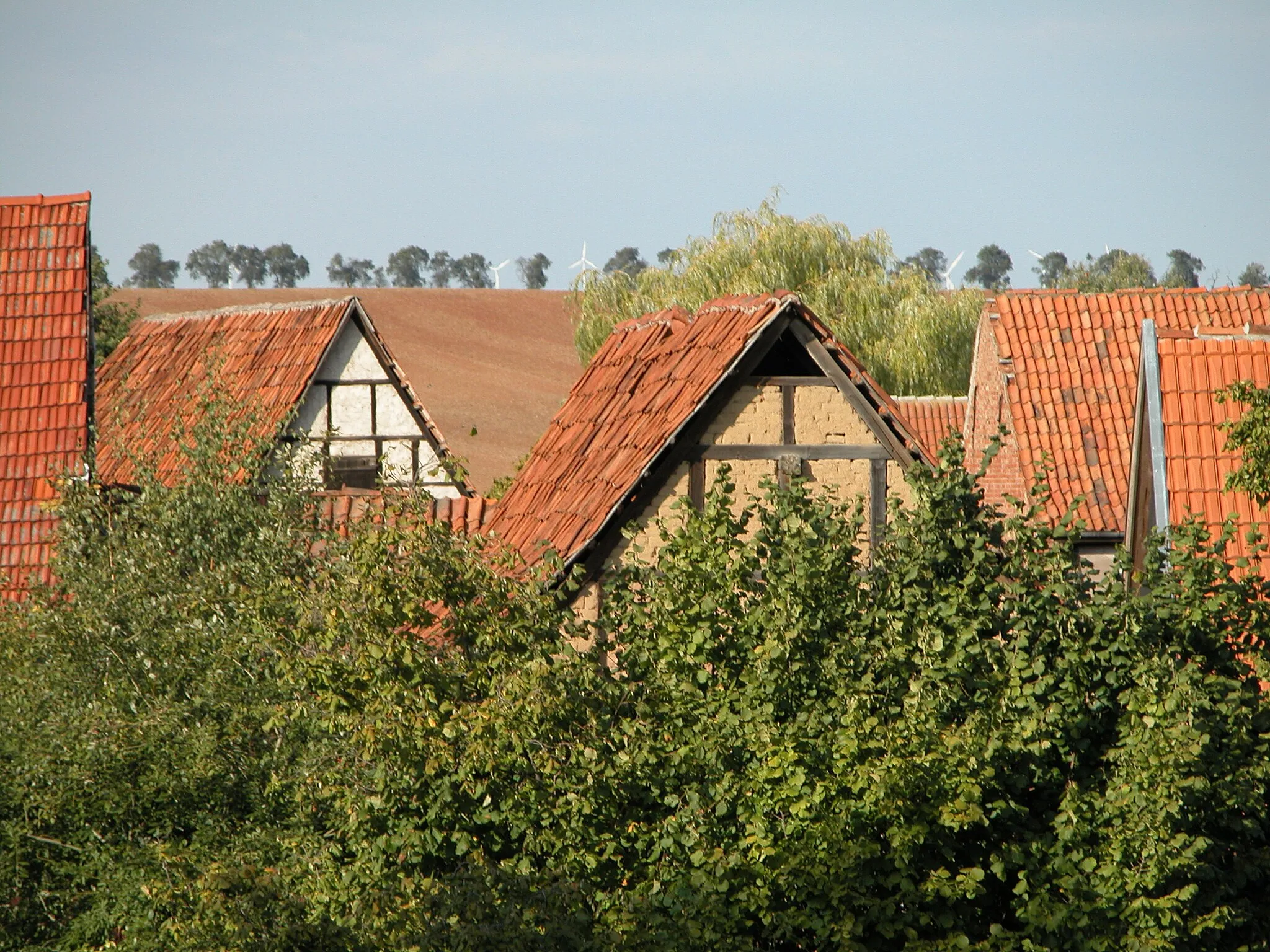 Photo showing: 2003 in Holzsußra