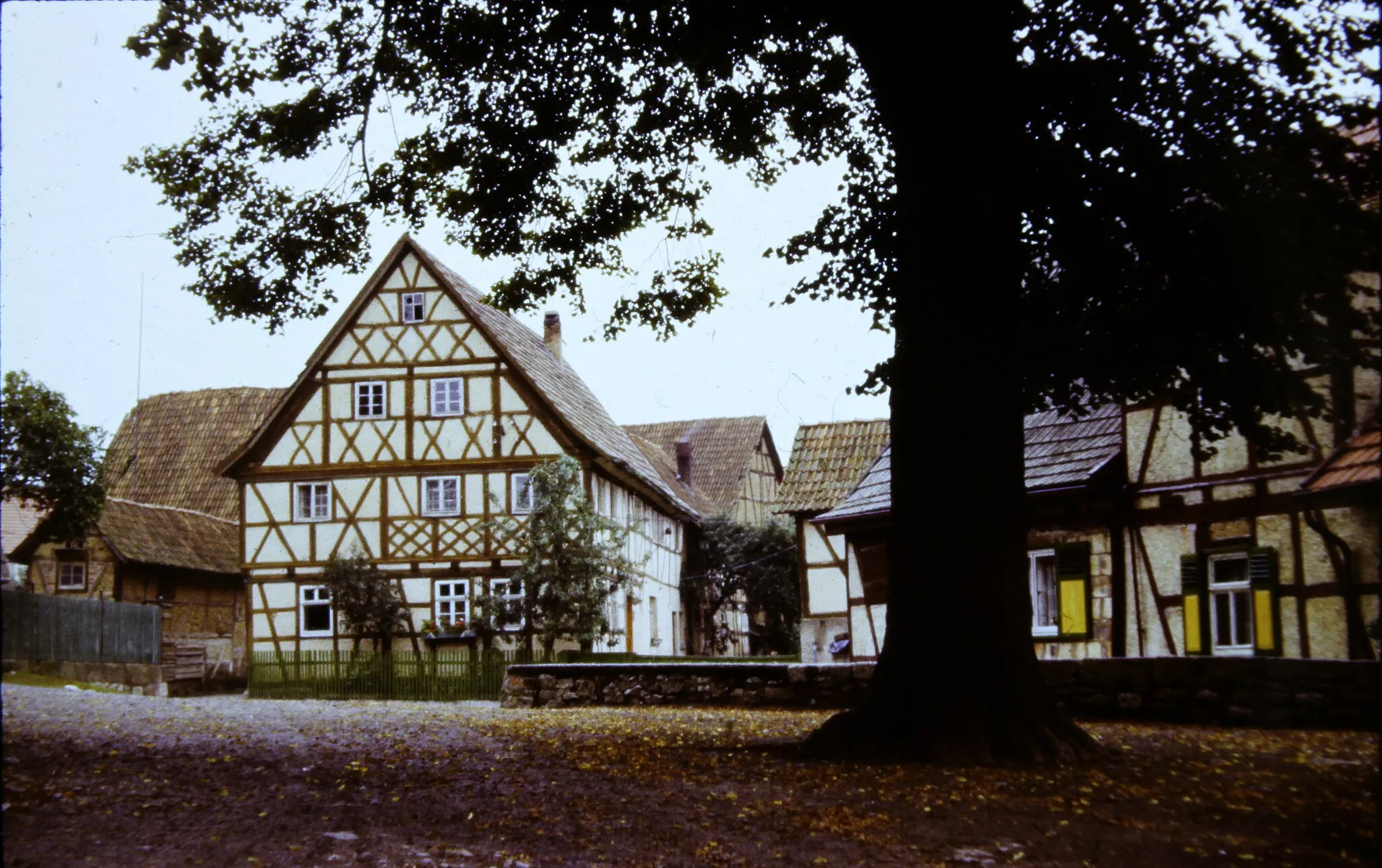Photo showing: Herpf, 1977