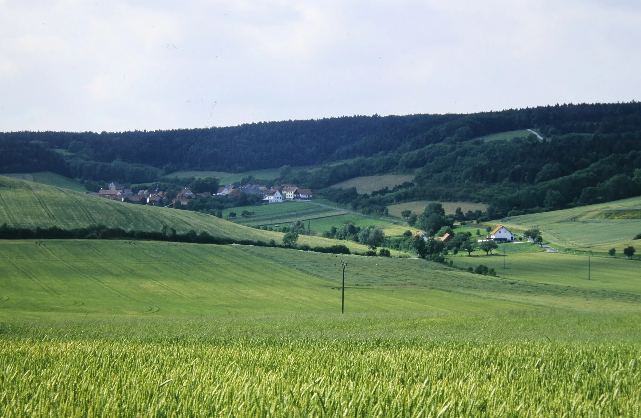 Photo showing: Röhrig, 1996