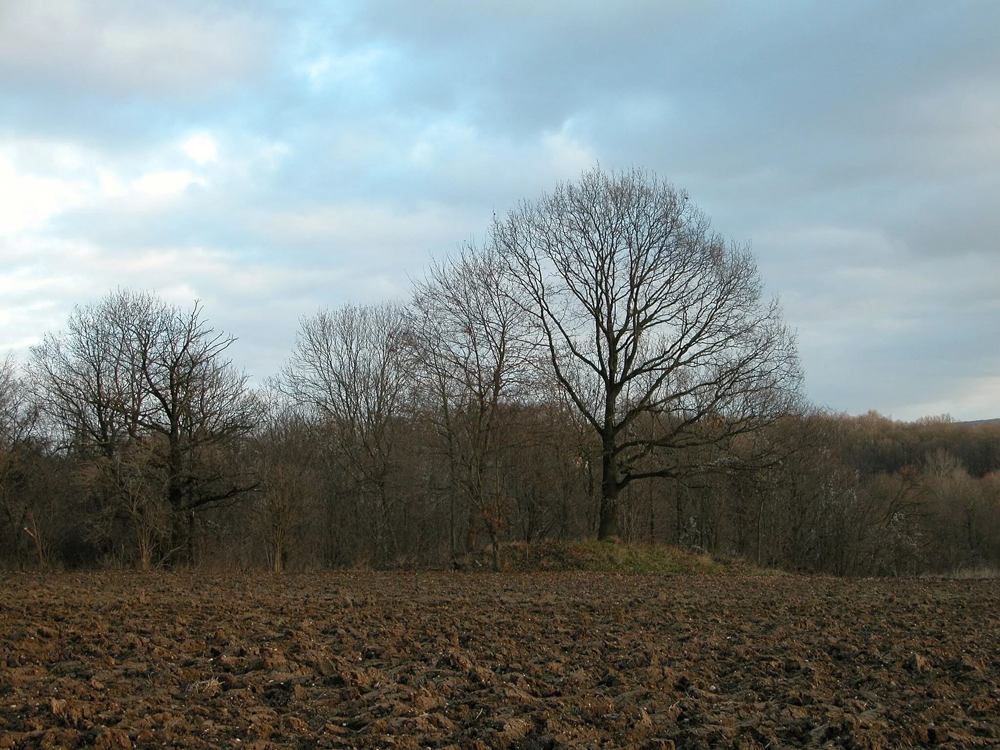 Photo showing: Nausnitz 2003