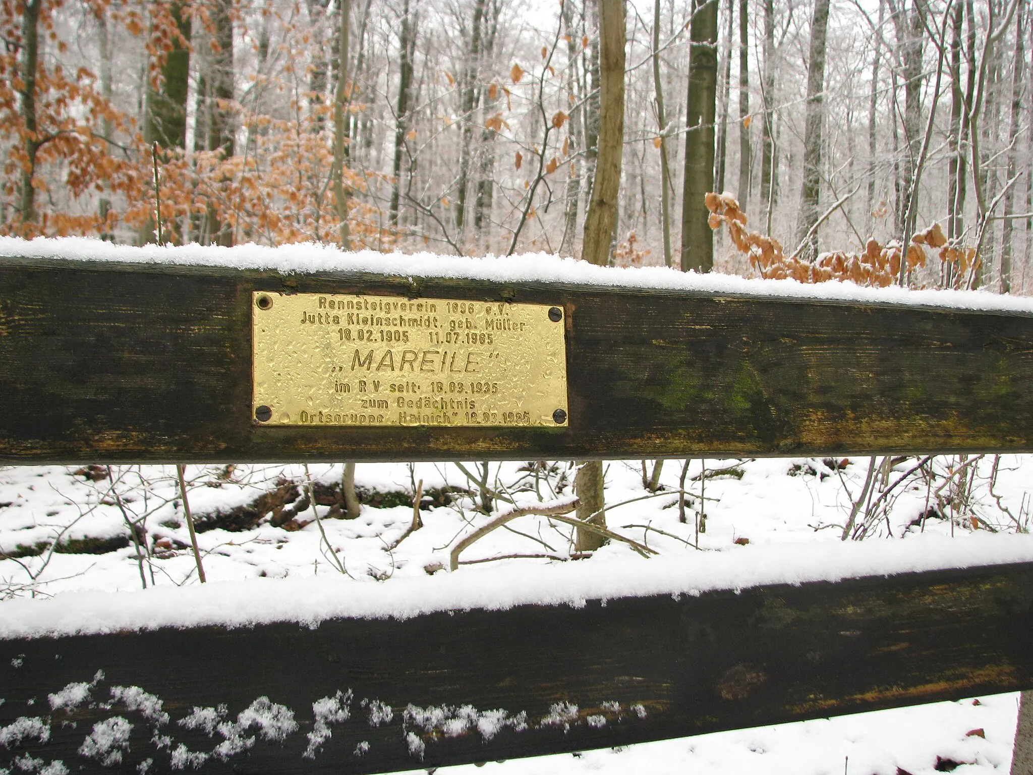 Photo showing: Mareile-Bank am Rennstieg im Hainich.