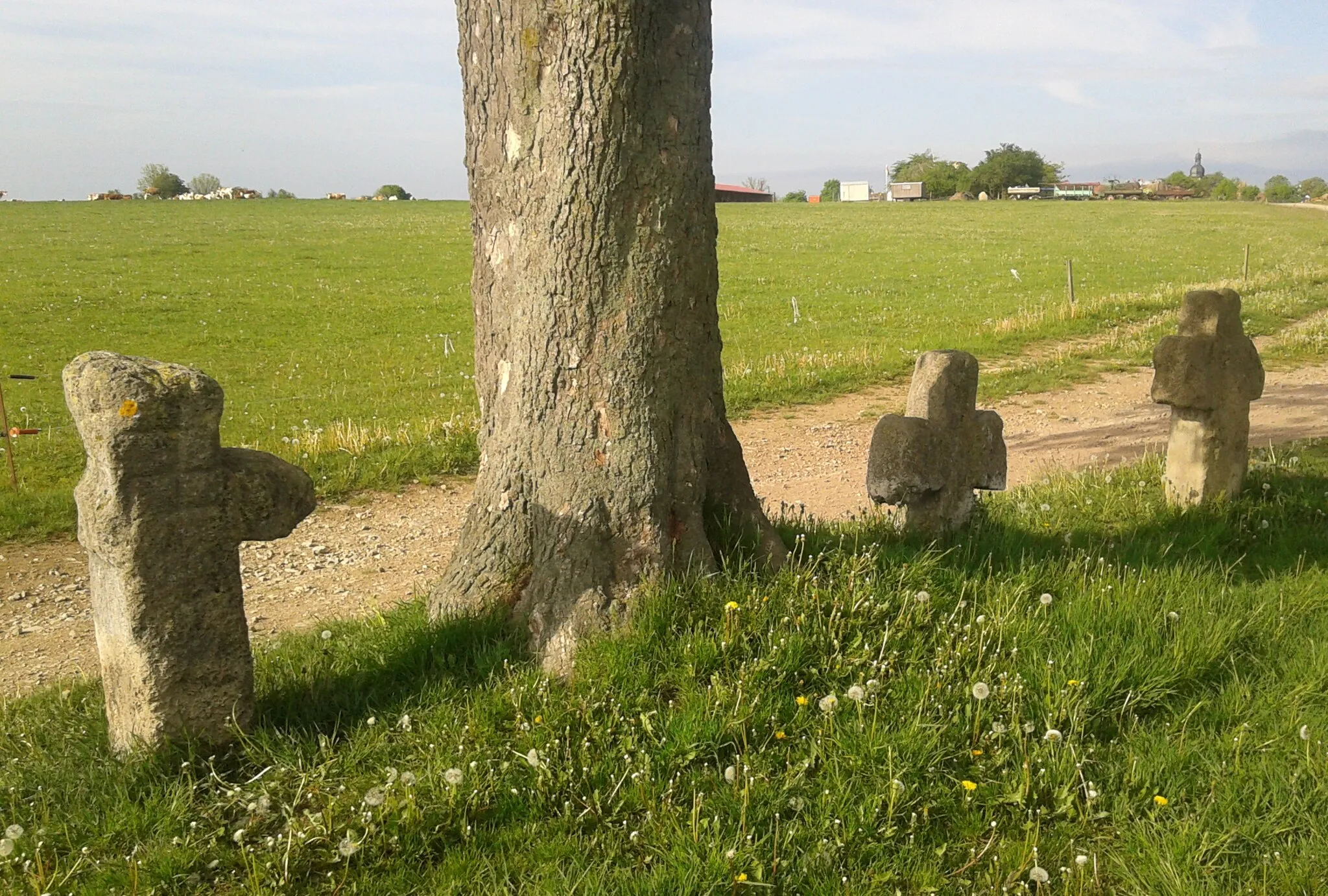 Photo showing: Three stone crosses near Gossel village, Ilm-Kreis, Germany